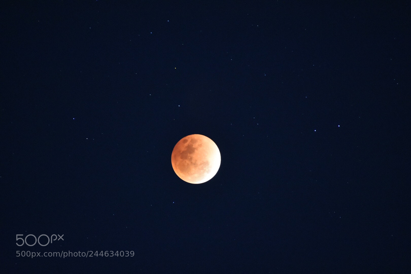 Nikon D7200 sample photo. Super moon photography