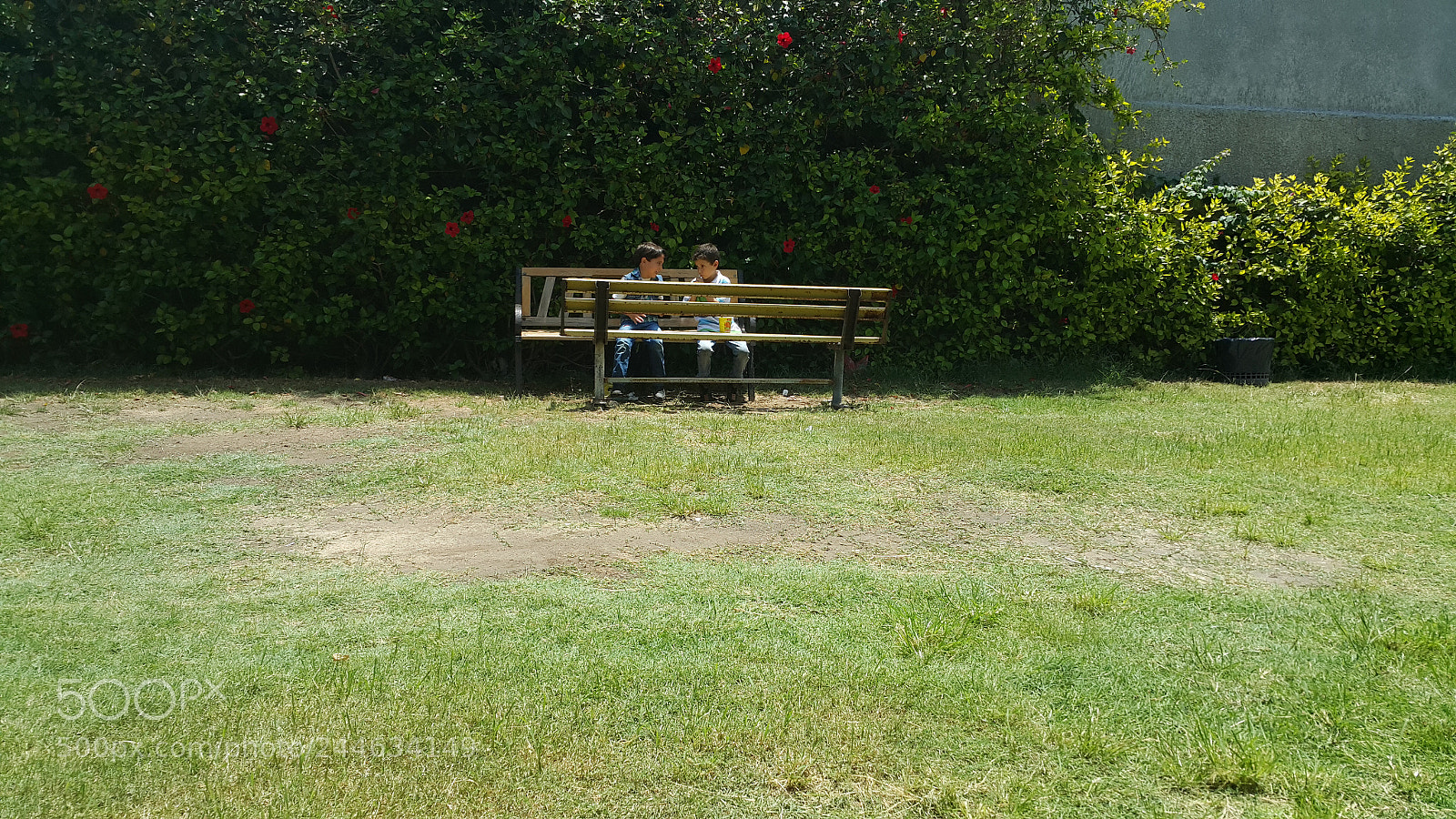 Samsung Galaxy Note4 sample photo. Untitled photography