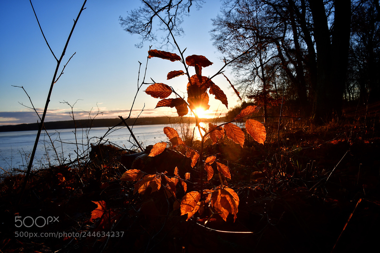 Nikon D500 sample photo. Beautiful nature photography
