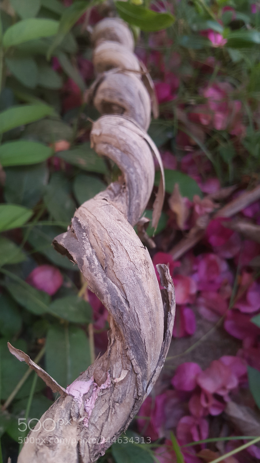 Samsung Galaxy Note4 sample photo. Untitled photography