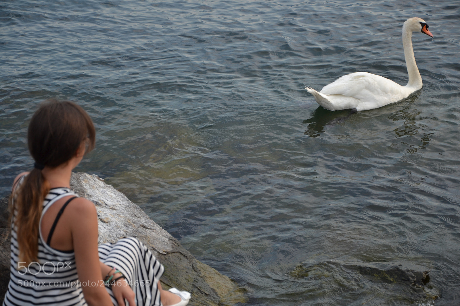 Nikon D3100 sample photo. Picture photography