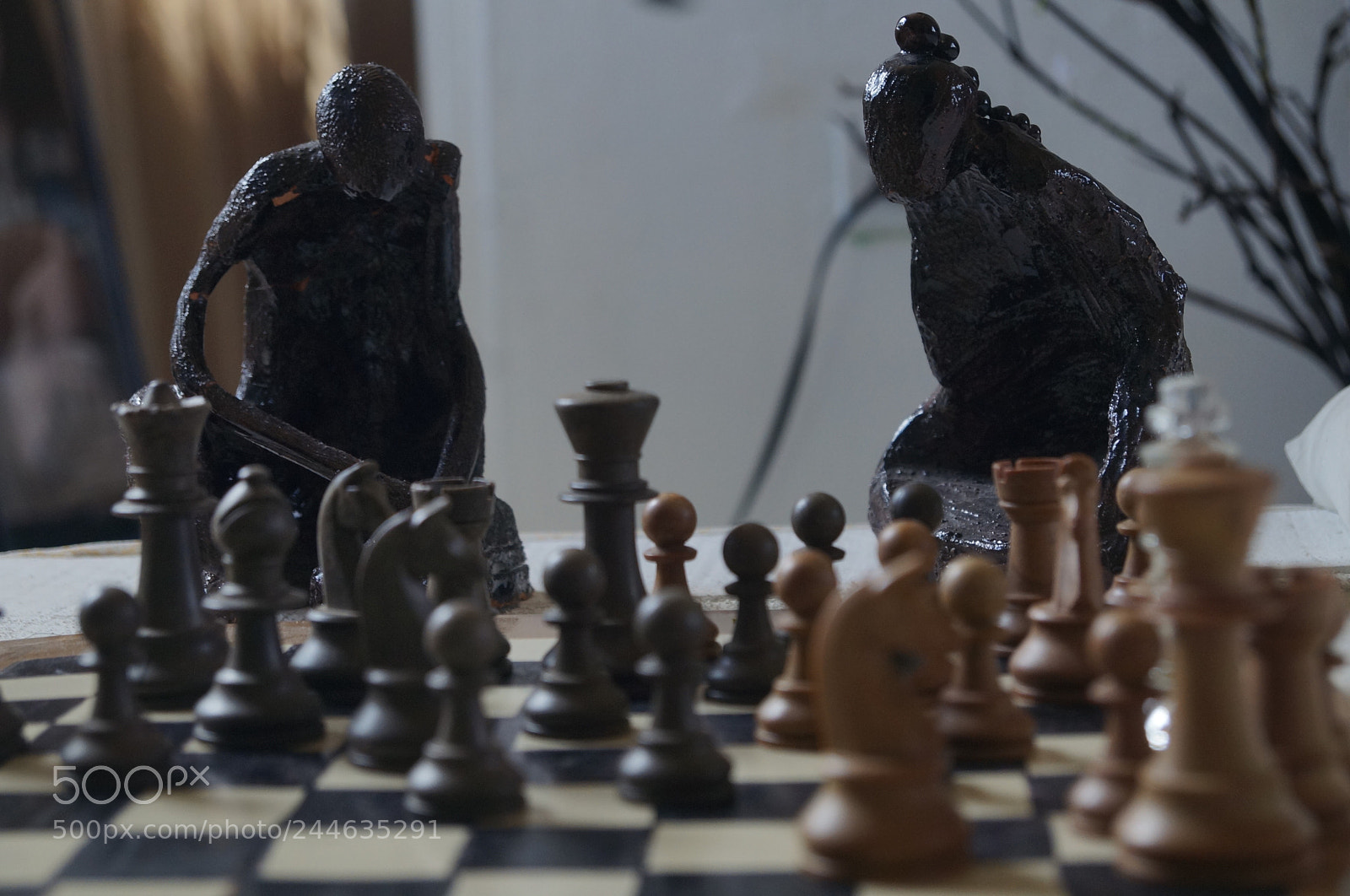 Sony SLT-A37 sample photo. Untitled photography