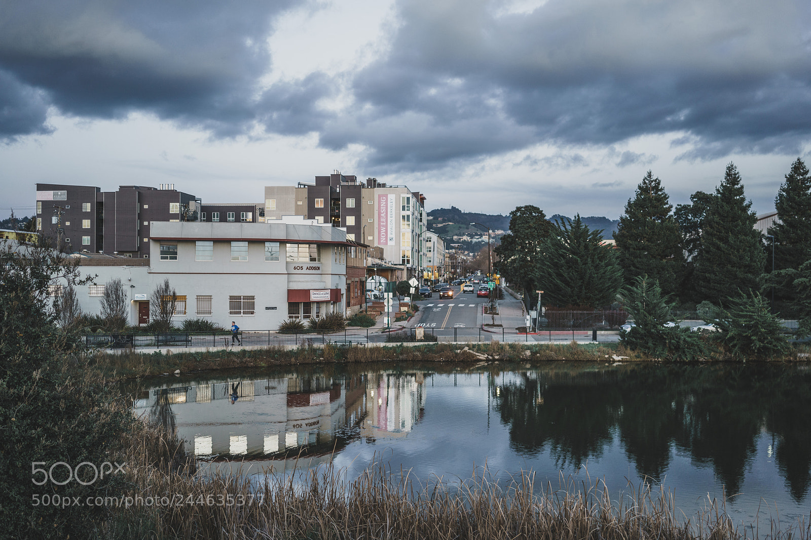 Sony a7R II sample photo. Dsc photography