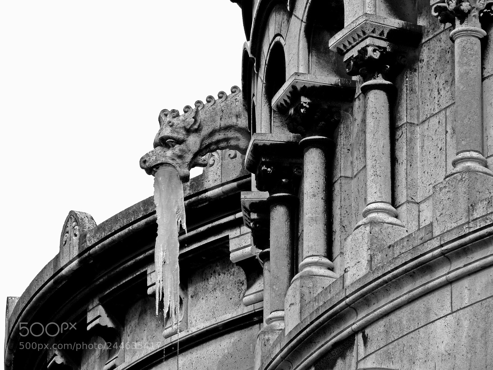 Panasonic Lumix DMC-FZ150 sample photo. The sickness photography