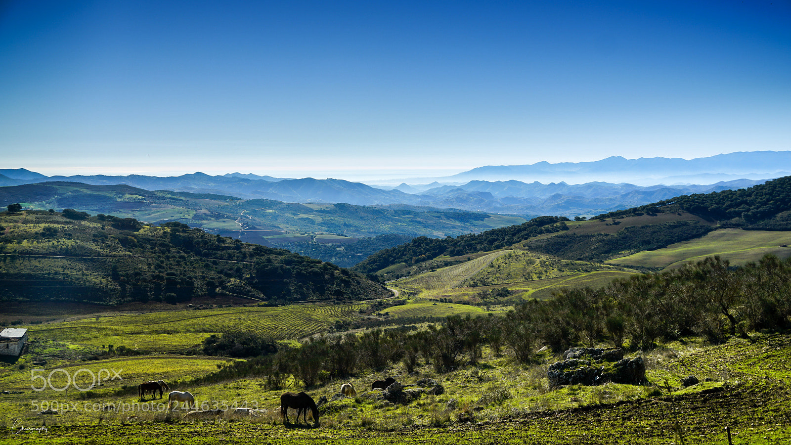 Sony a6500 sample photo. Andalusien photography
