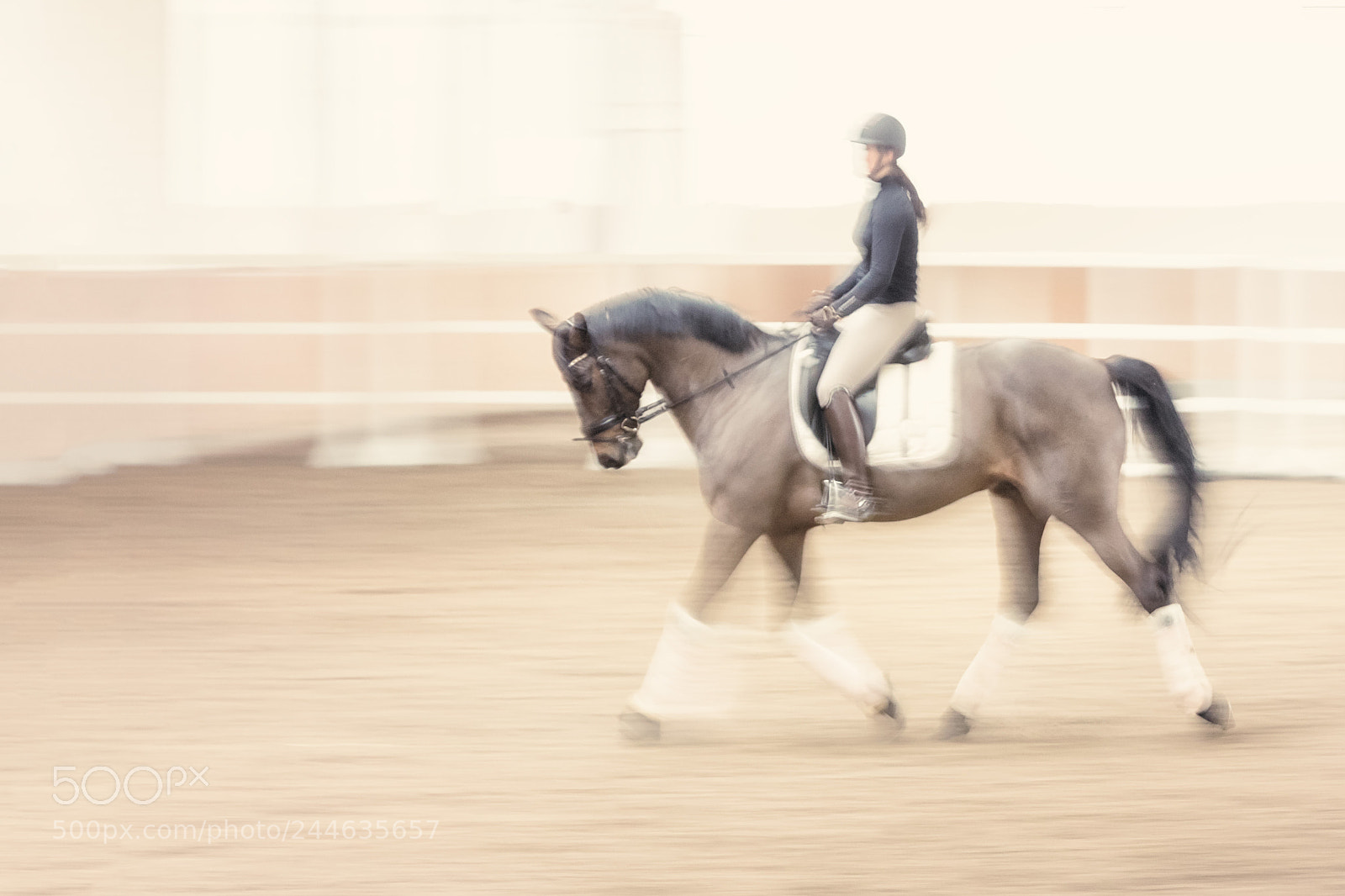 Canon EOS-1D X Mark II sample photo. Riding lesson photography