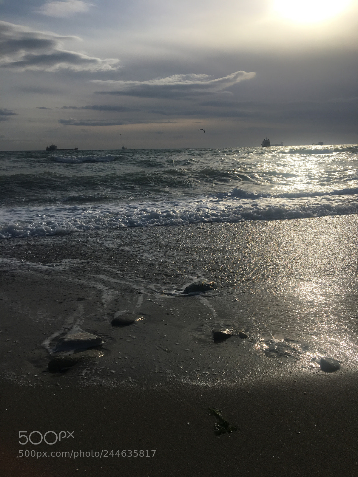 Apple iPhone 6s sample photo. Untitled photography