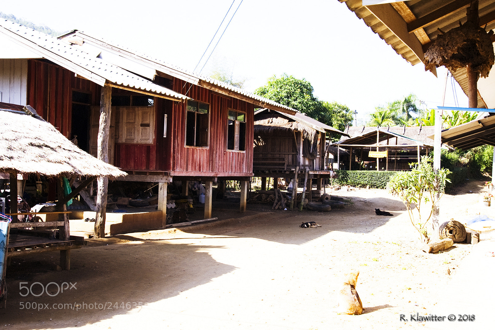 Nikon D700 sample photo. Photo photography