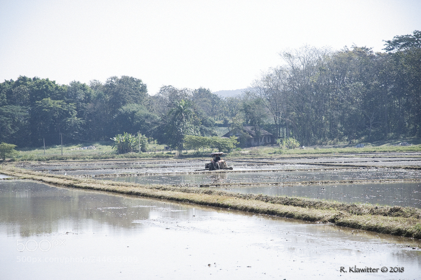 Nikon D700 sample photo. Tractor on rice fields photography