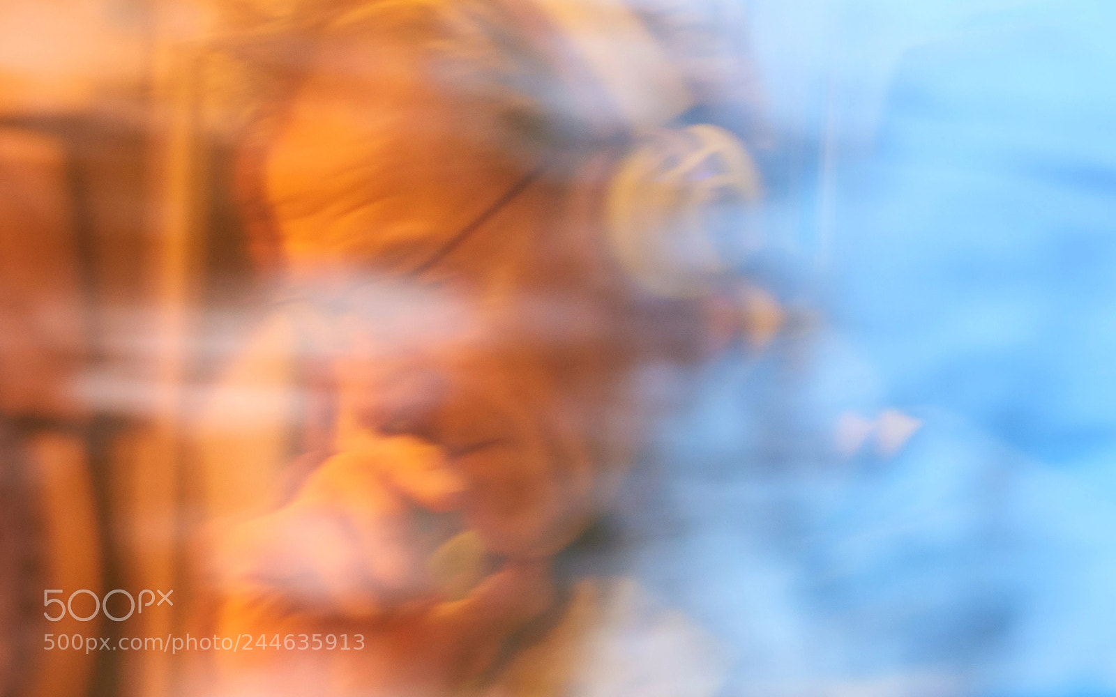 Nikon D810 sample photo. Reflection in the window photography