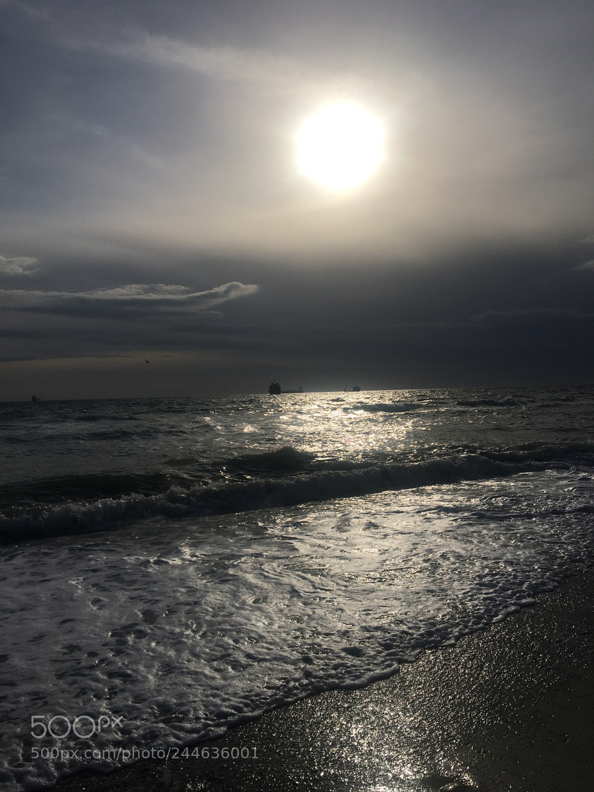 Apple iPhone 6s sample photo. Untitled photography