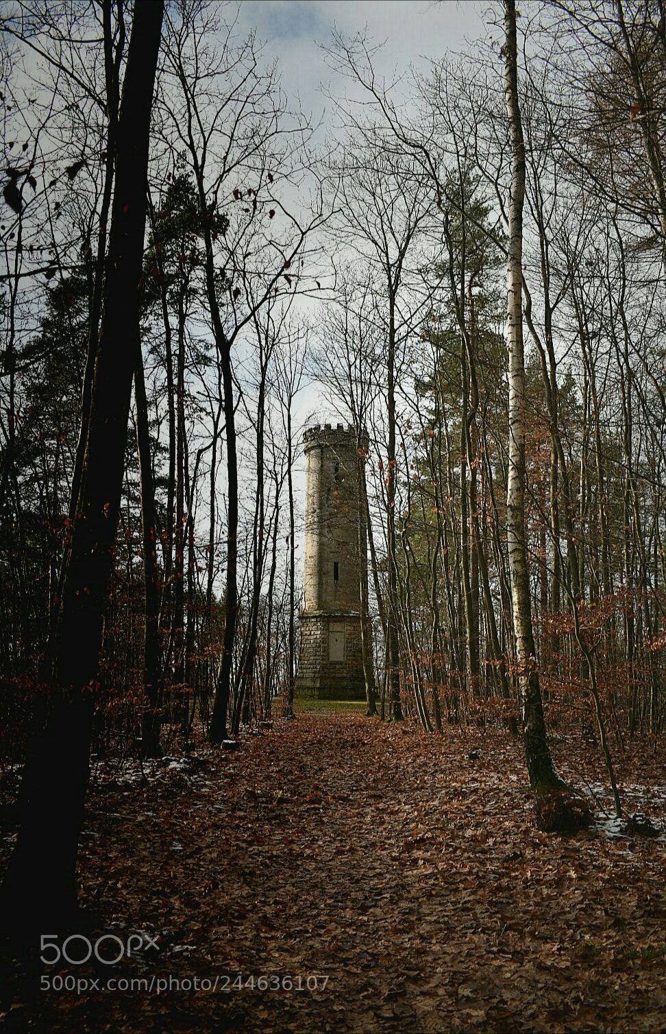 Nikon D3400 sample photo. Untitled photography