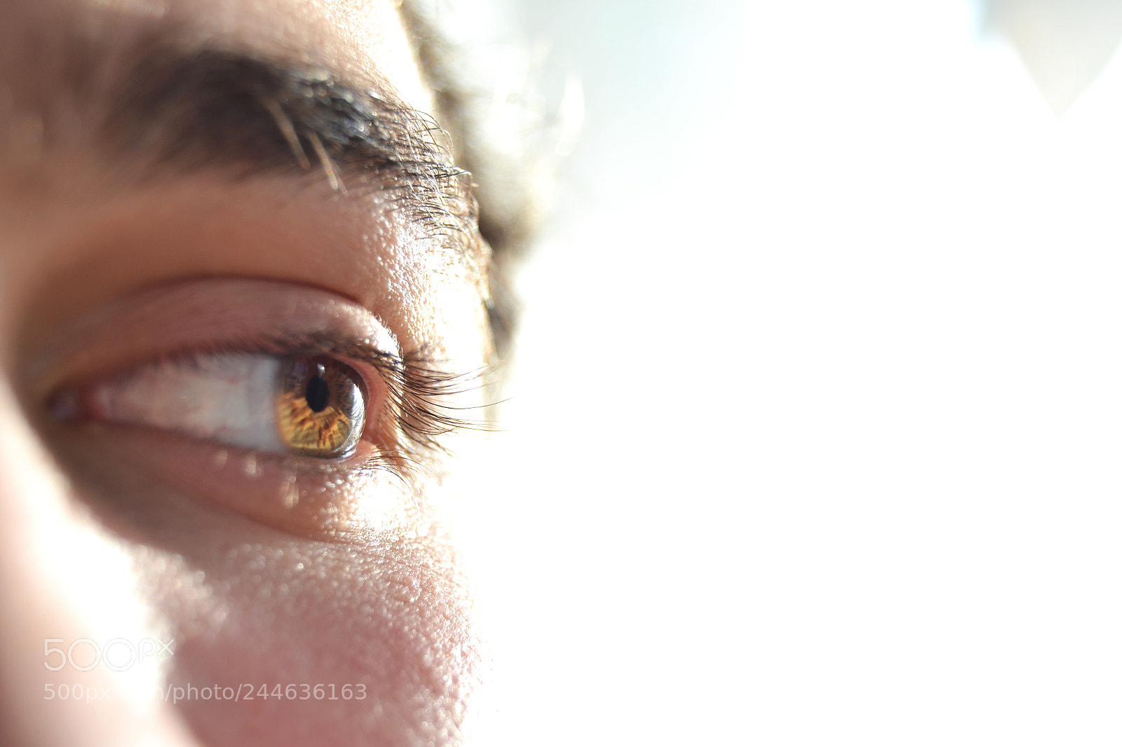 Nikon D3100 sample photo. . photography