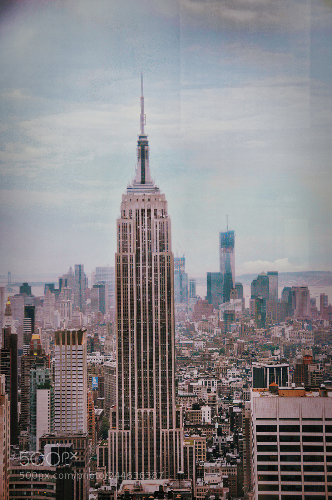Nikon D300S sample photo. Raising head above the photography