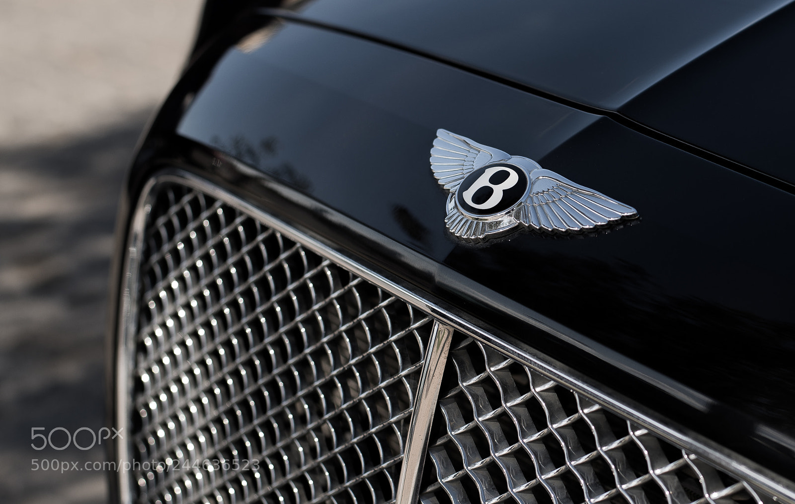Nikon D610 sample photo. Bentley photography