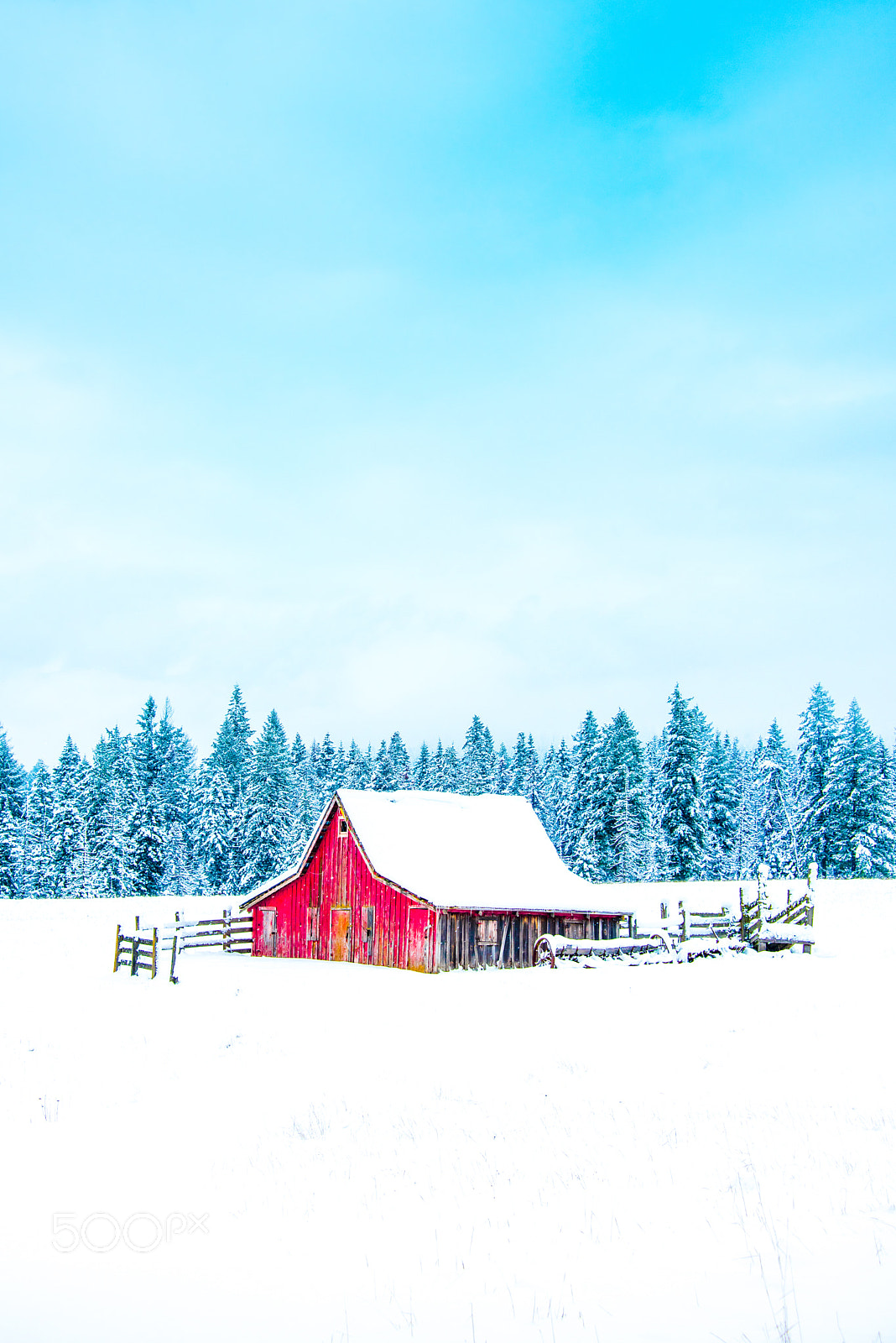 Nikon D810 sample photo. North idaho winter.jpg photography