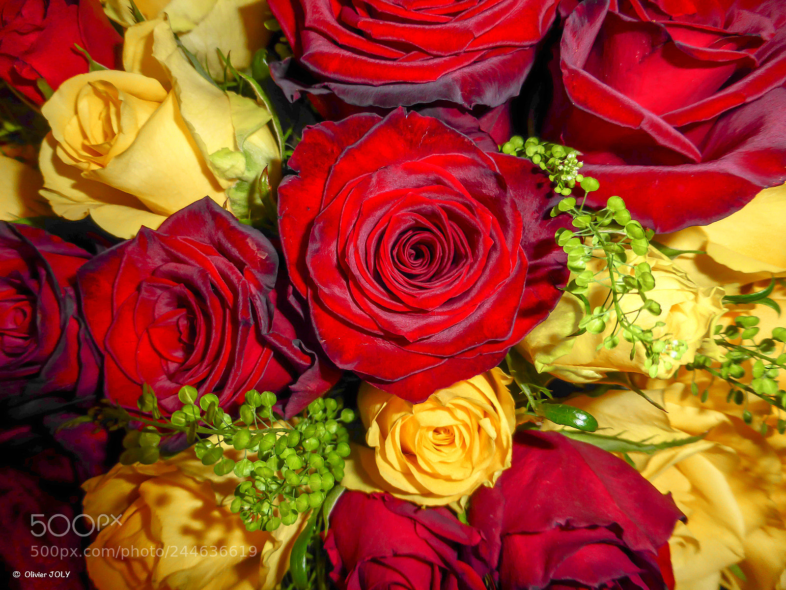 Panasonic Lumix DMC-ZS30 (Lumix DMC-TZ40) sample photo. Saint-valentin photography
