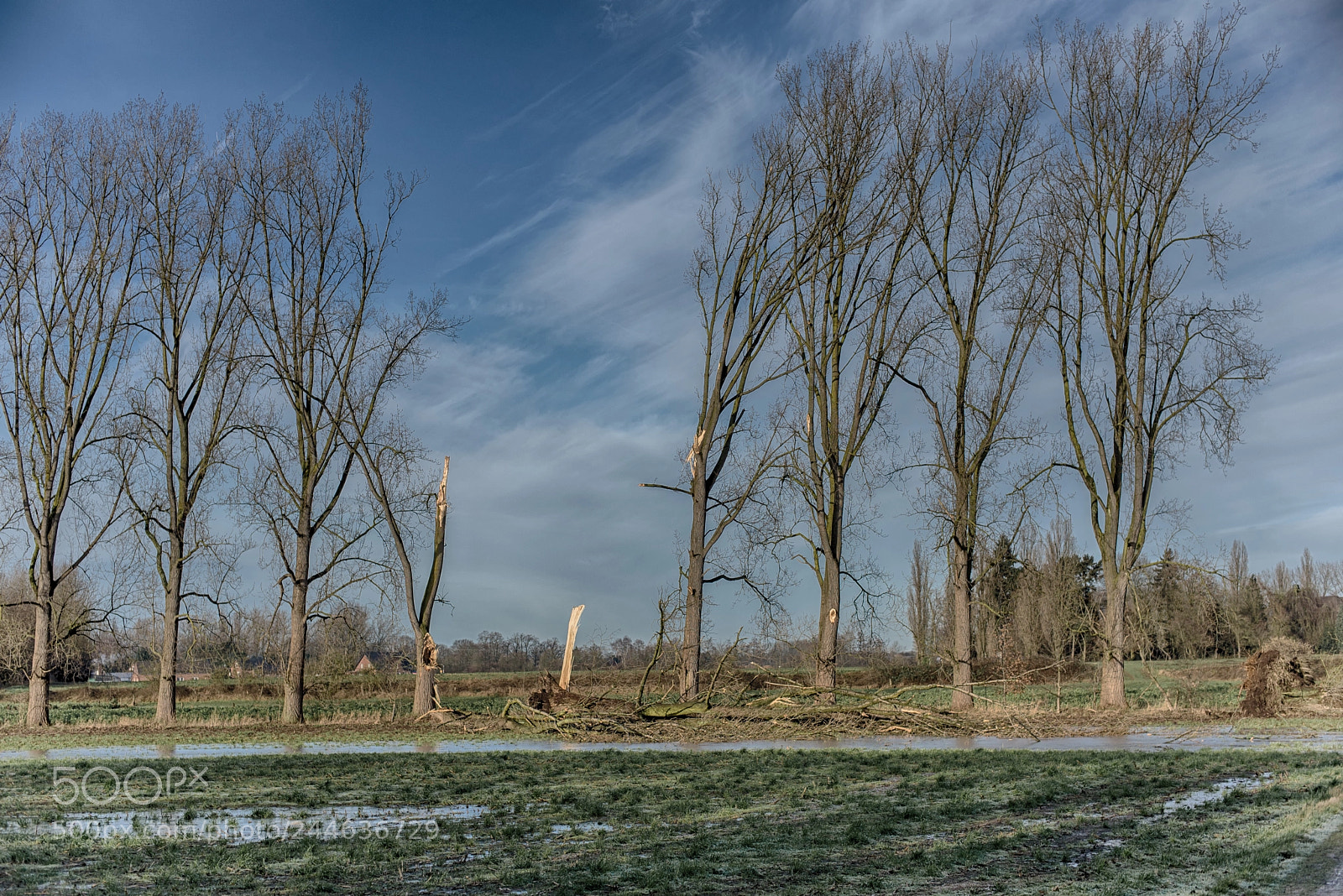 Nikon D600 sample photo. Nach dem sturm photography