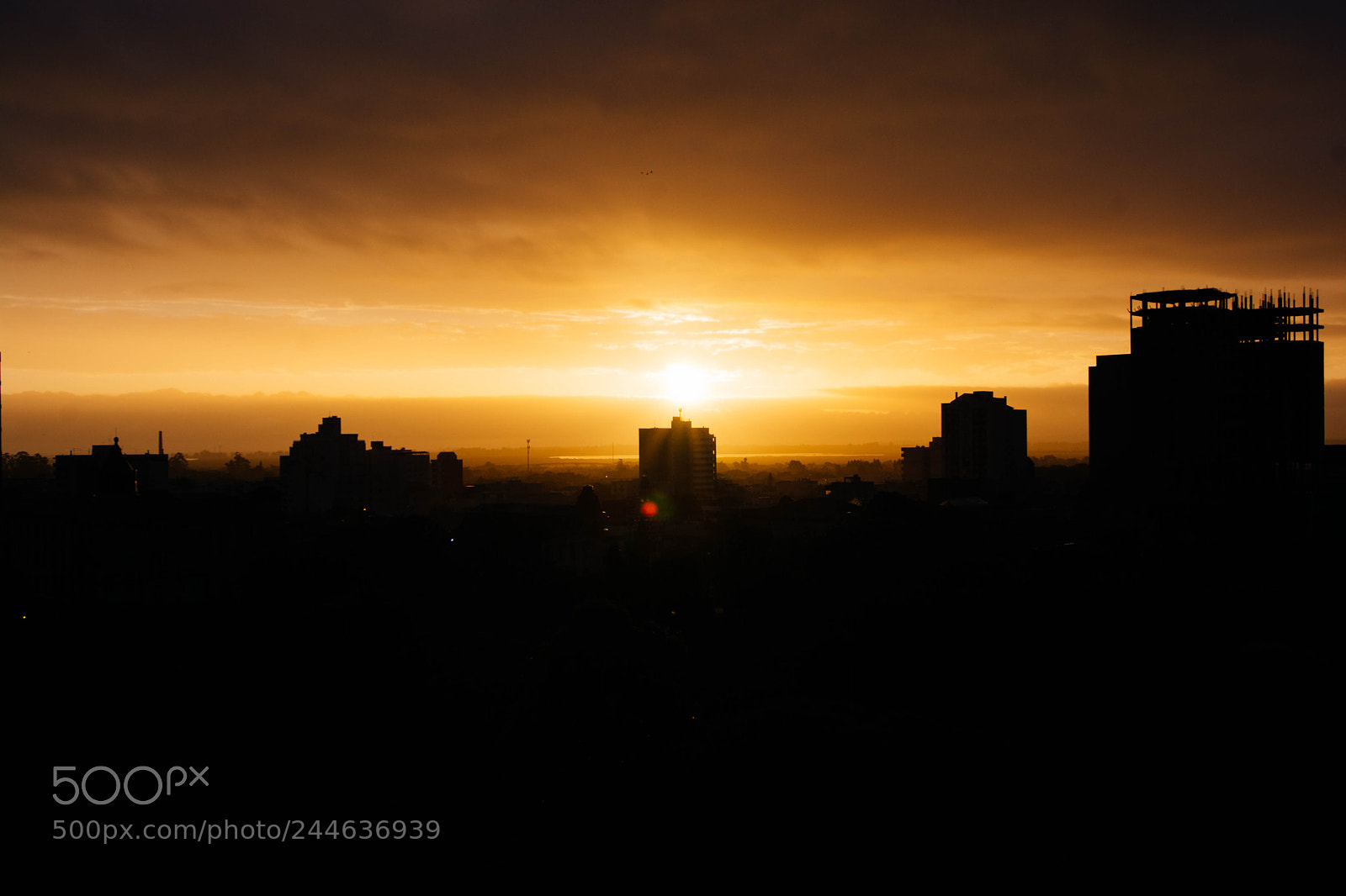 Nikon D7100 sample photo. City silhouette photography