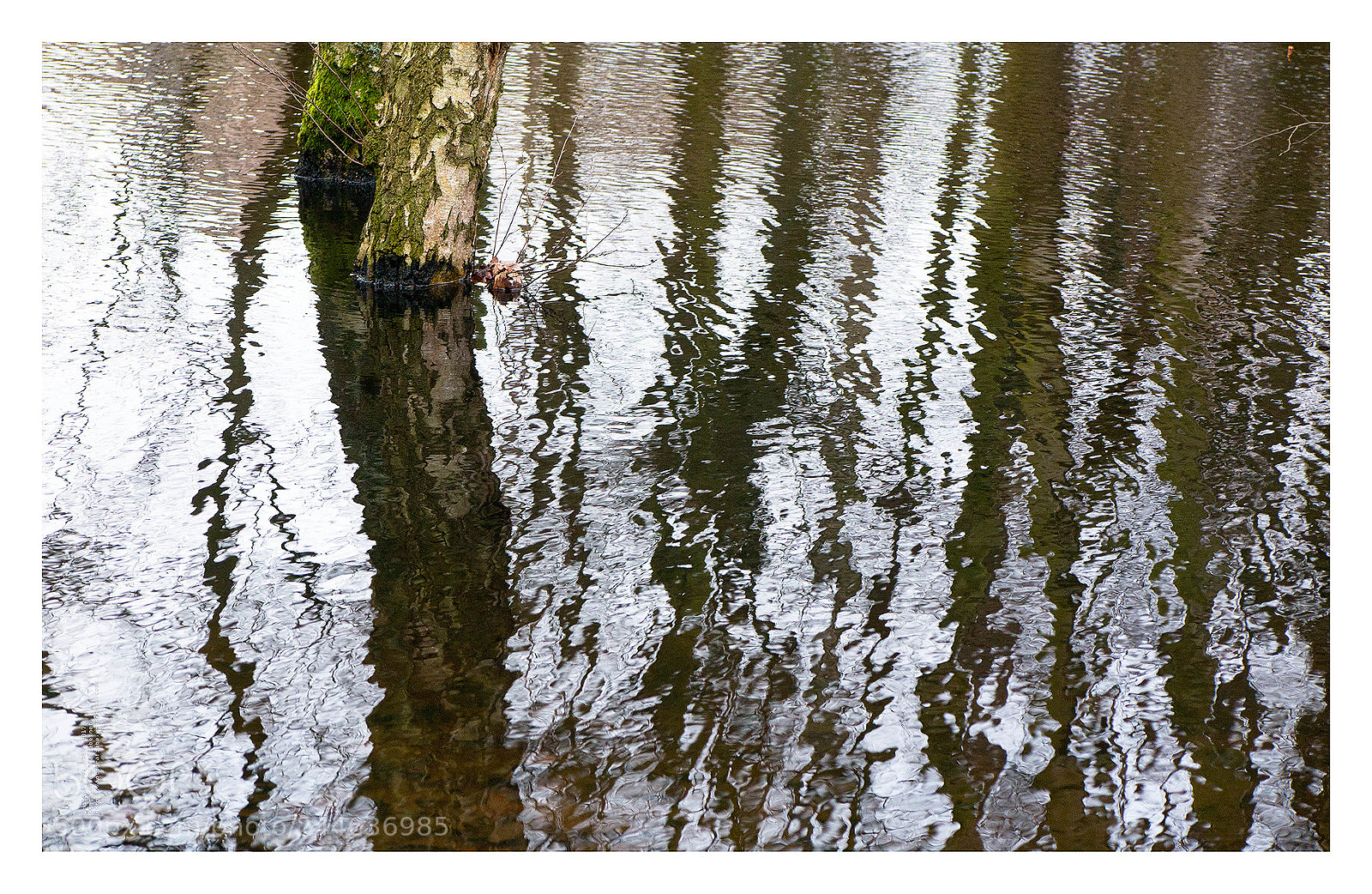 Canon PowerShot G1 X Mark II sample photo. Les pieds dans l'eau photography