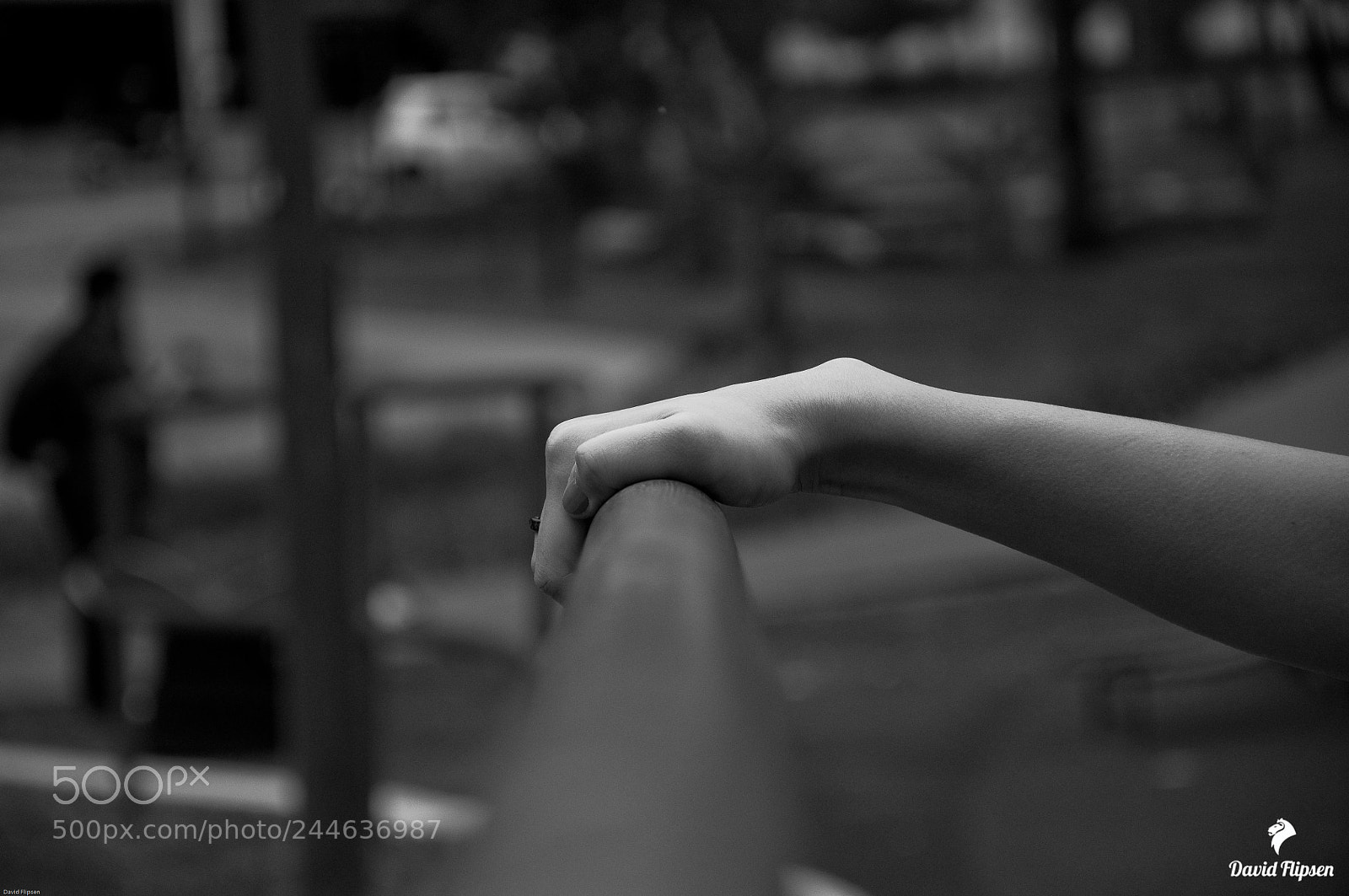 Nikon D90 sample photo. Untitled photography