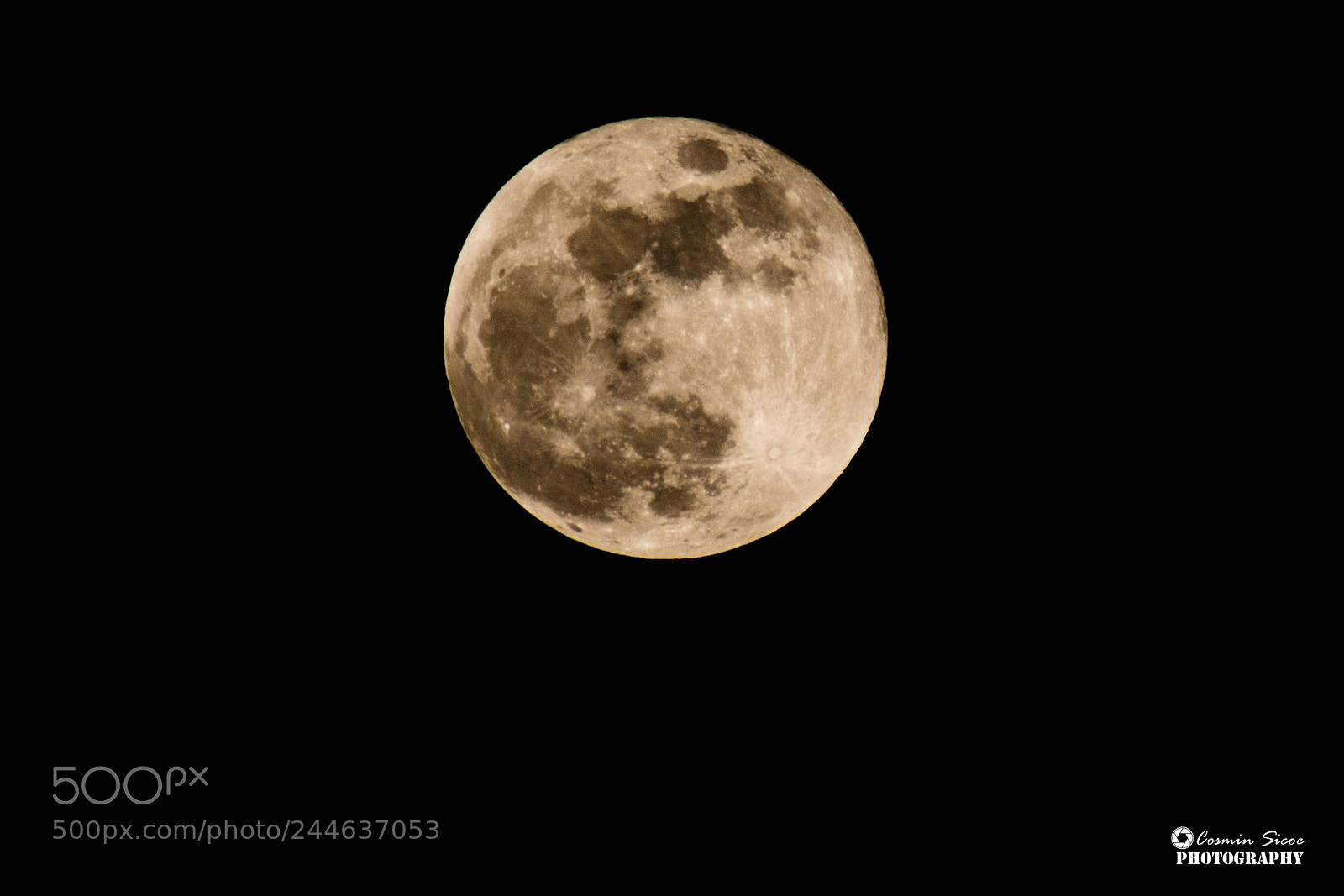 Nikon D5600 sample photo. Blood big moon as photography
