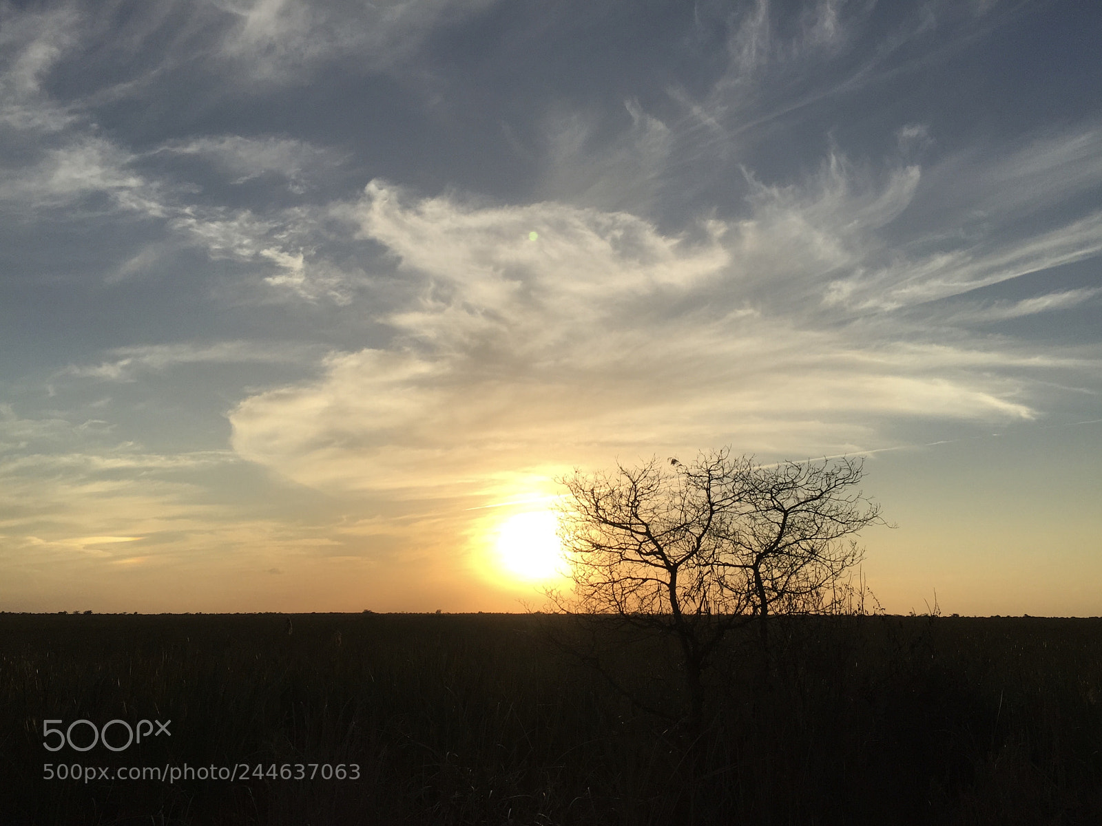 Apple iPhone 6 Plus sample photo. Untitled photography