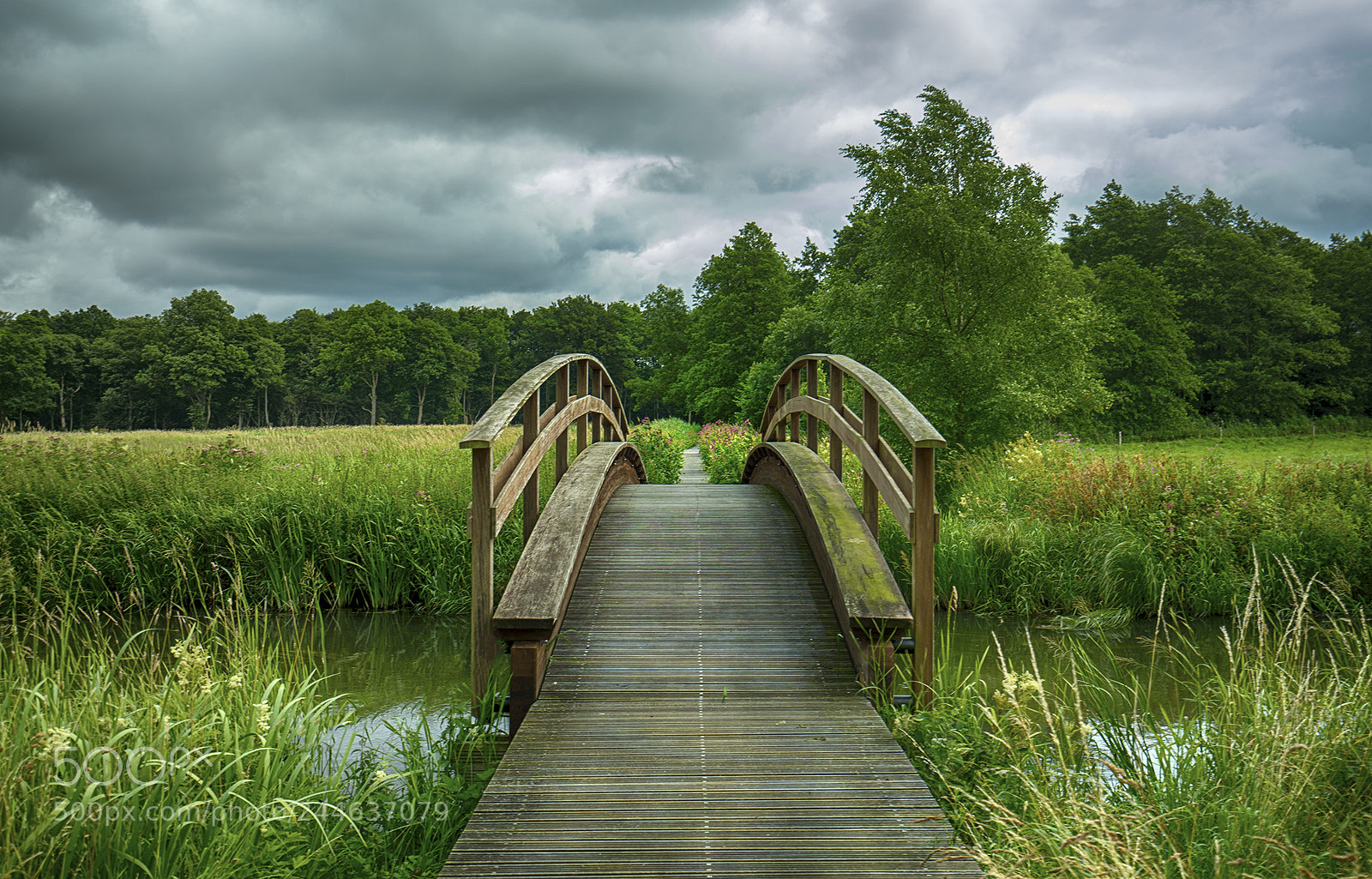 Sony a7 II sample photo. Ulstrup danmark photography