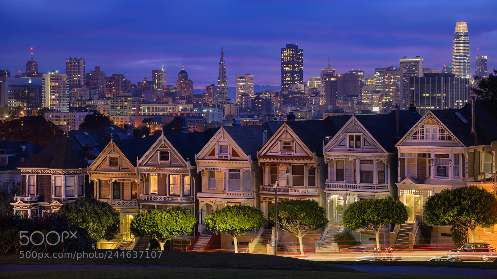 Nikon D610 sample photo. Painted lady, san francisco photography