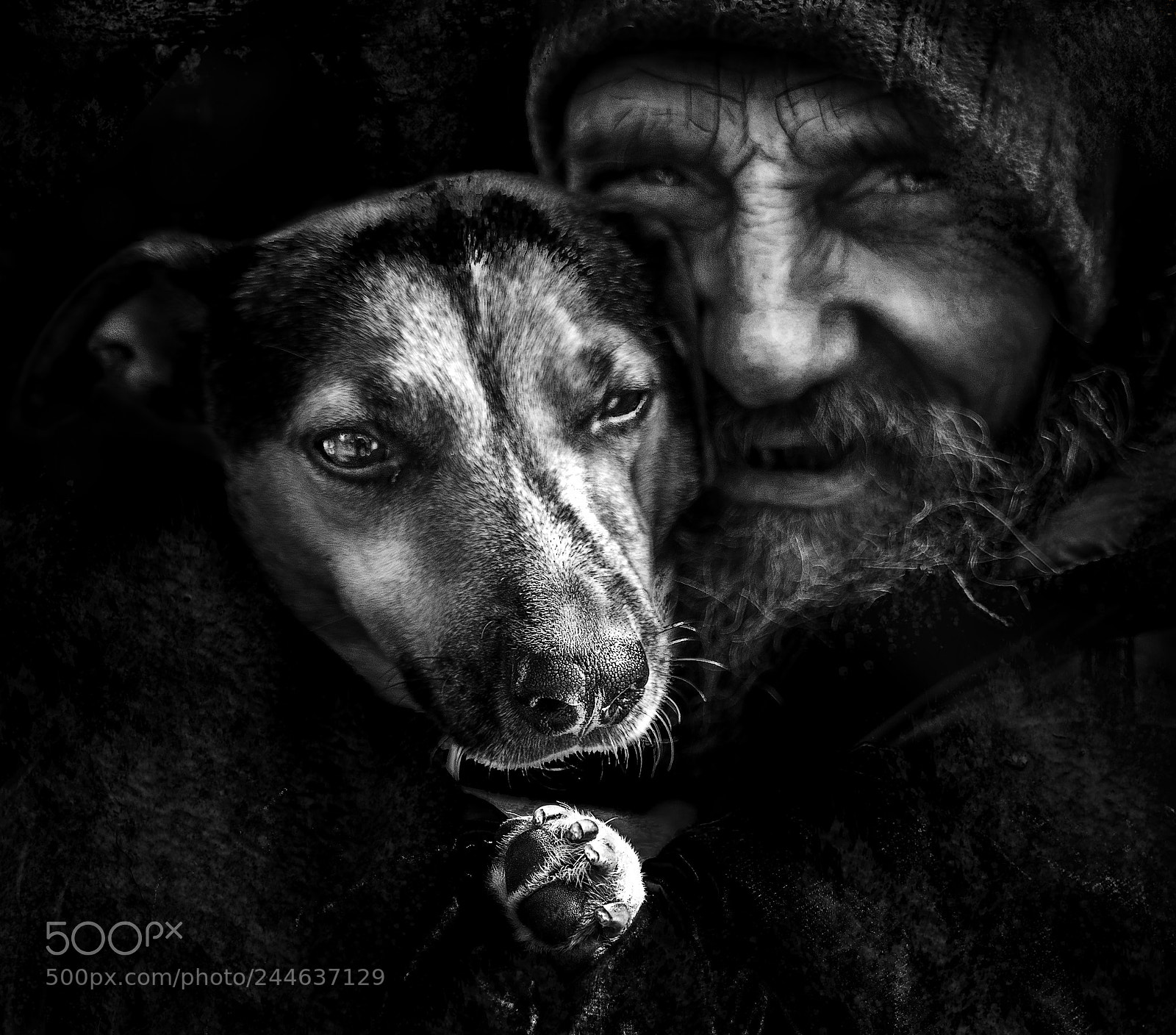 Sony a7R sample photo. Soulmates photography