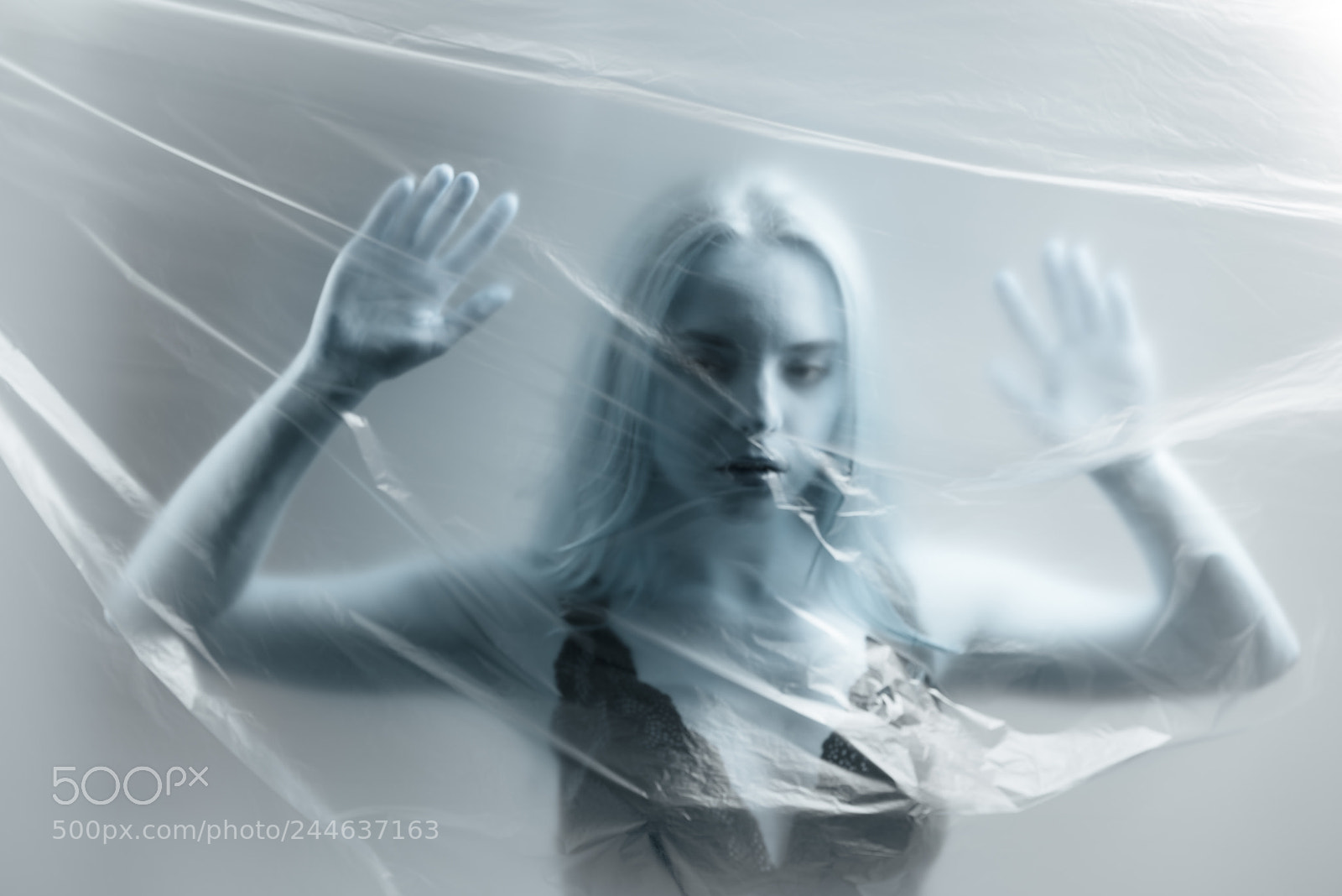 Nikon D800 sample photo. Under the surface photography