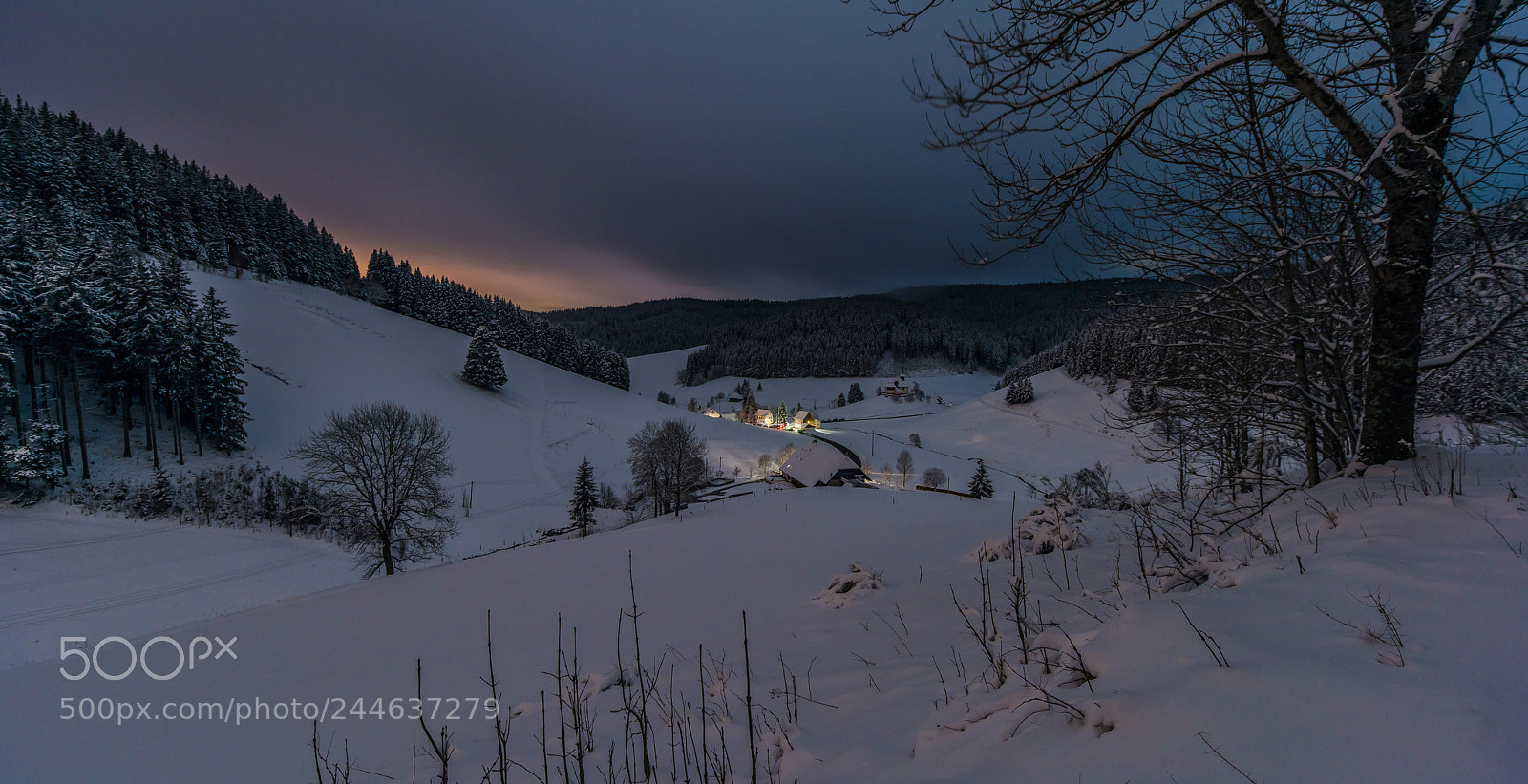 Nikon D810 sample photo. Moonlight photography