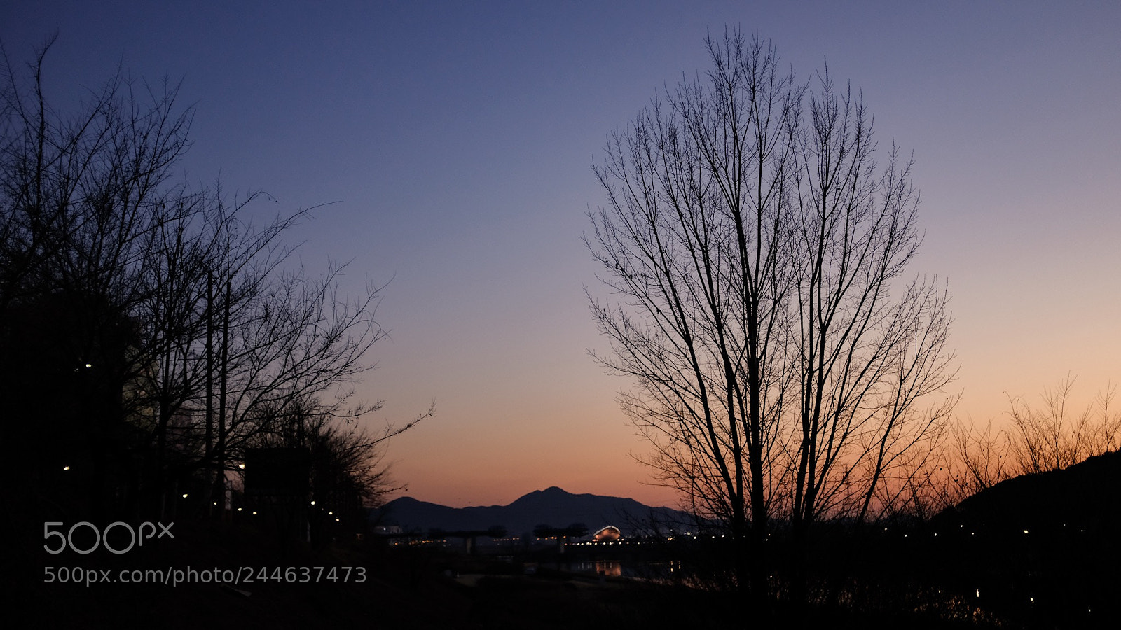 Fujifilm X100F sample photo. Untitled photography