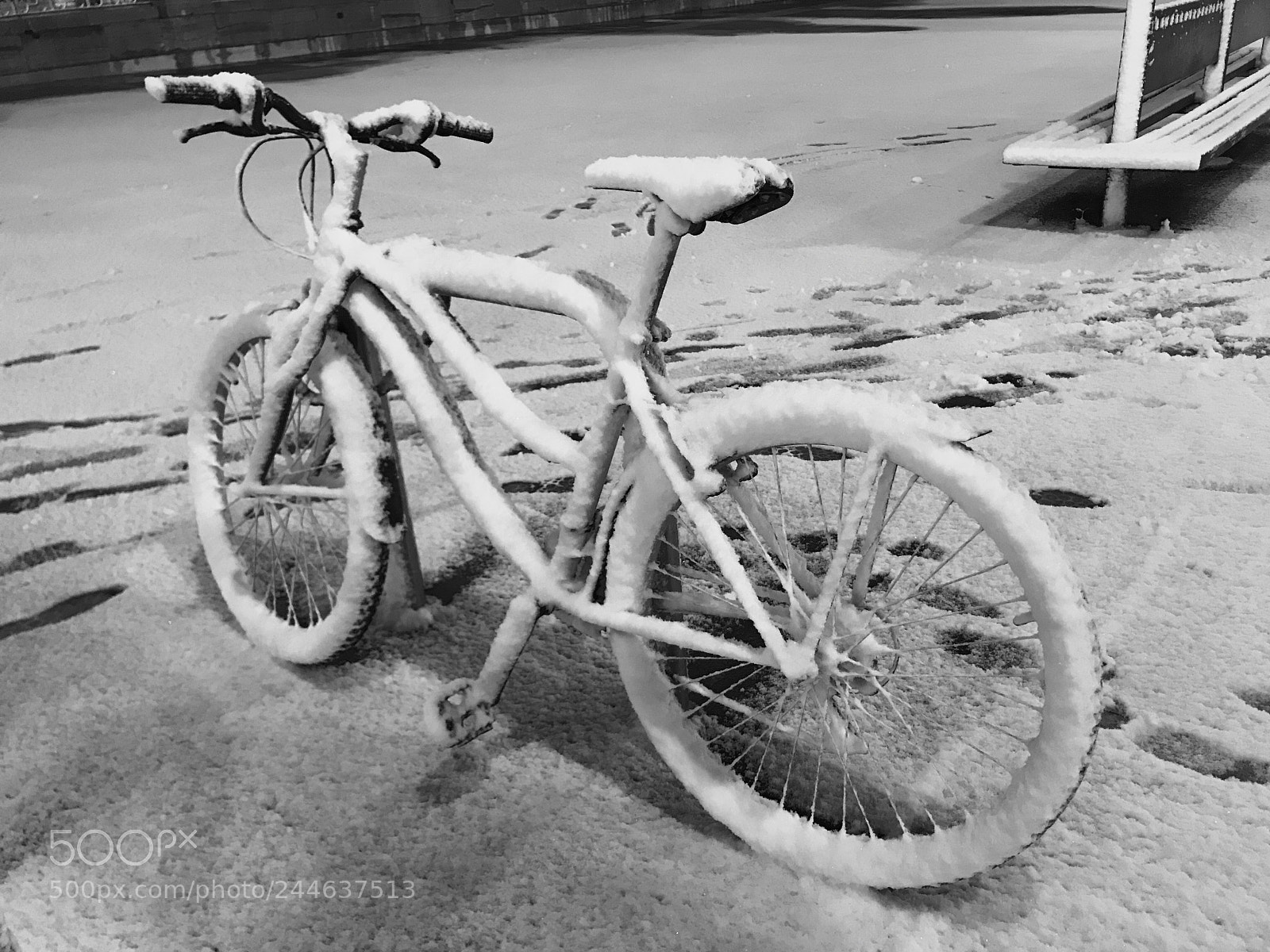 Apple iPhone 7 sample photo. Mountain bike photography