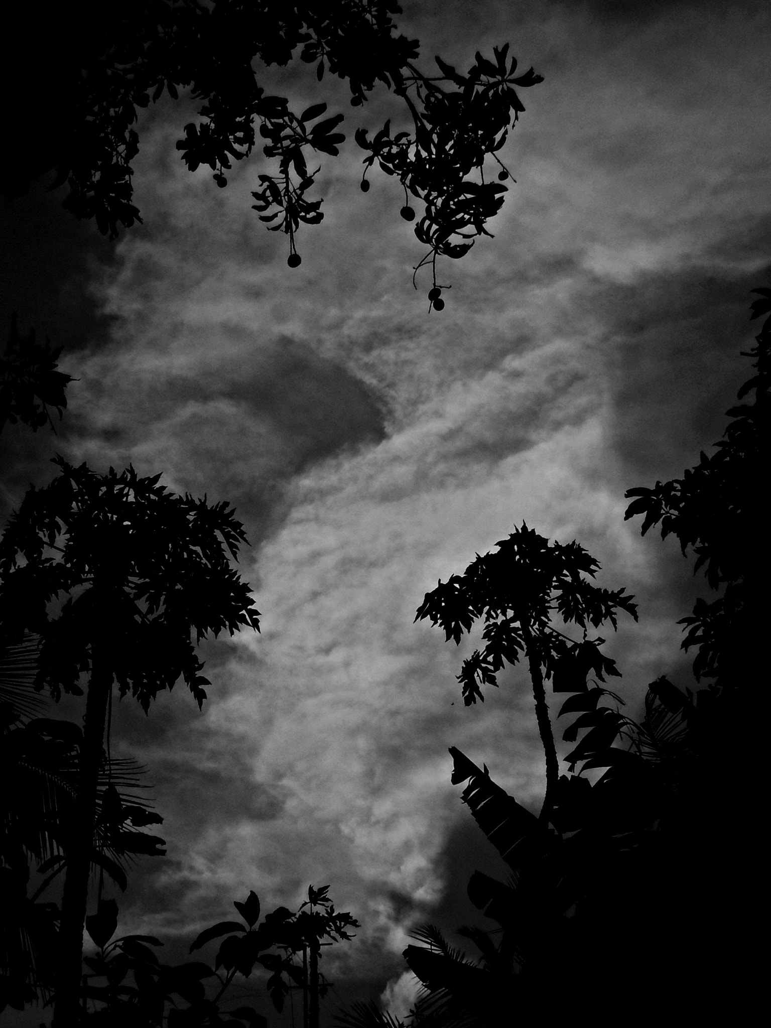 Nikon Coolpix L20 sample photo