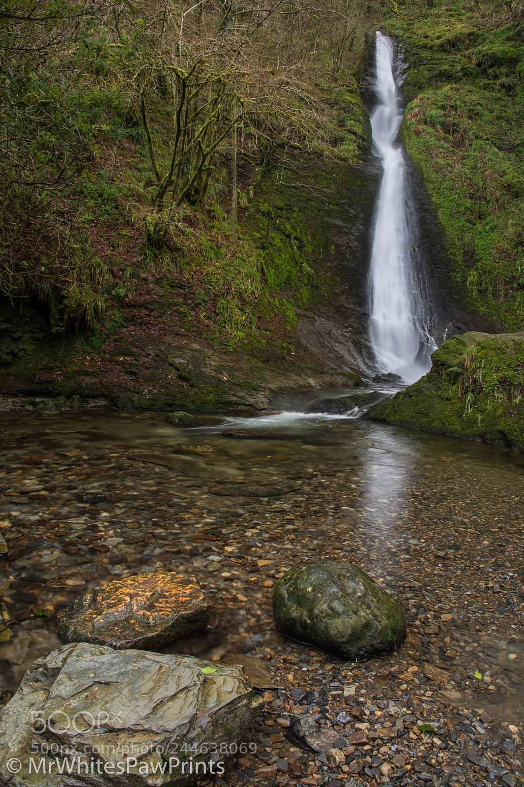 Nikon D7100 sample photo. Winter at lydford gorge photography
