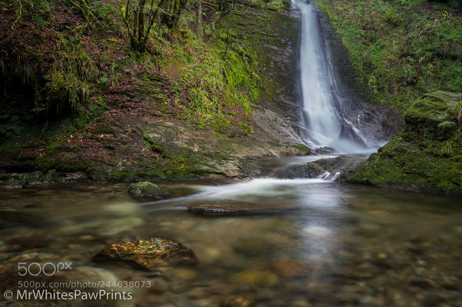 Nikon D7100 sample photo. Winter at lydford gorge photography