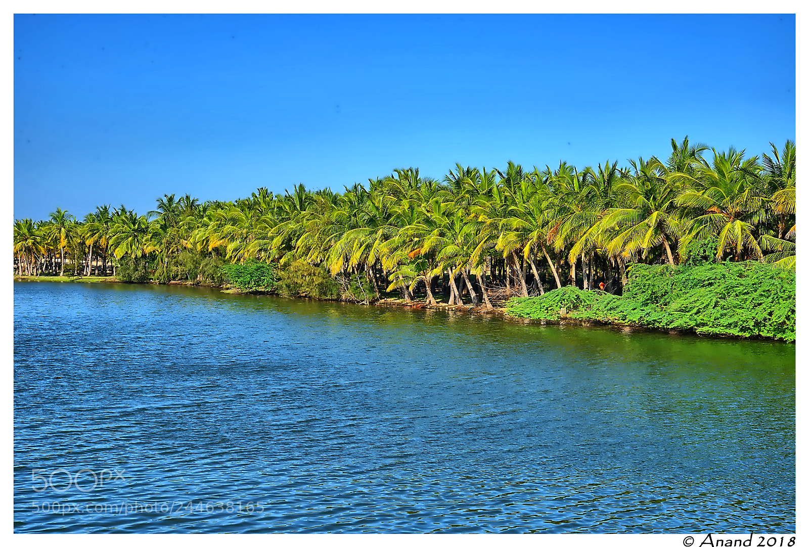 Nikon D610 sample photo. Idyllic photography