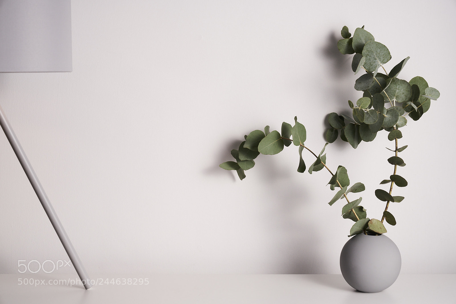 Sony a7R II sample photo. Day thirty two photography