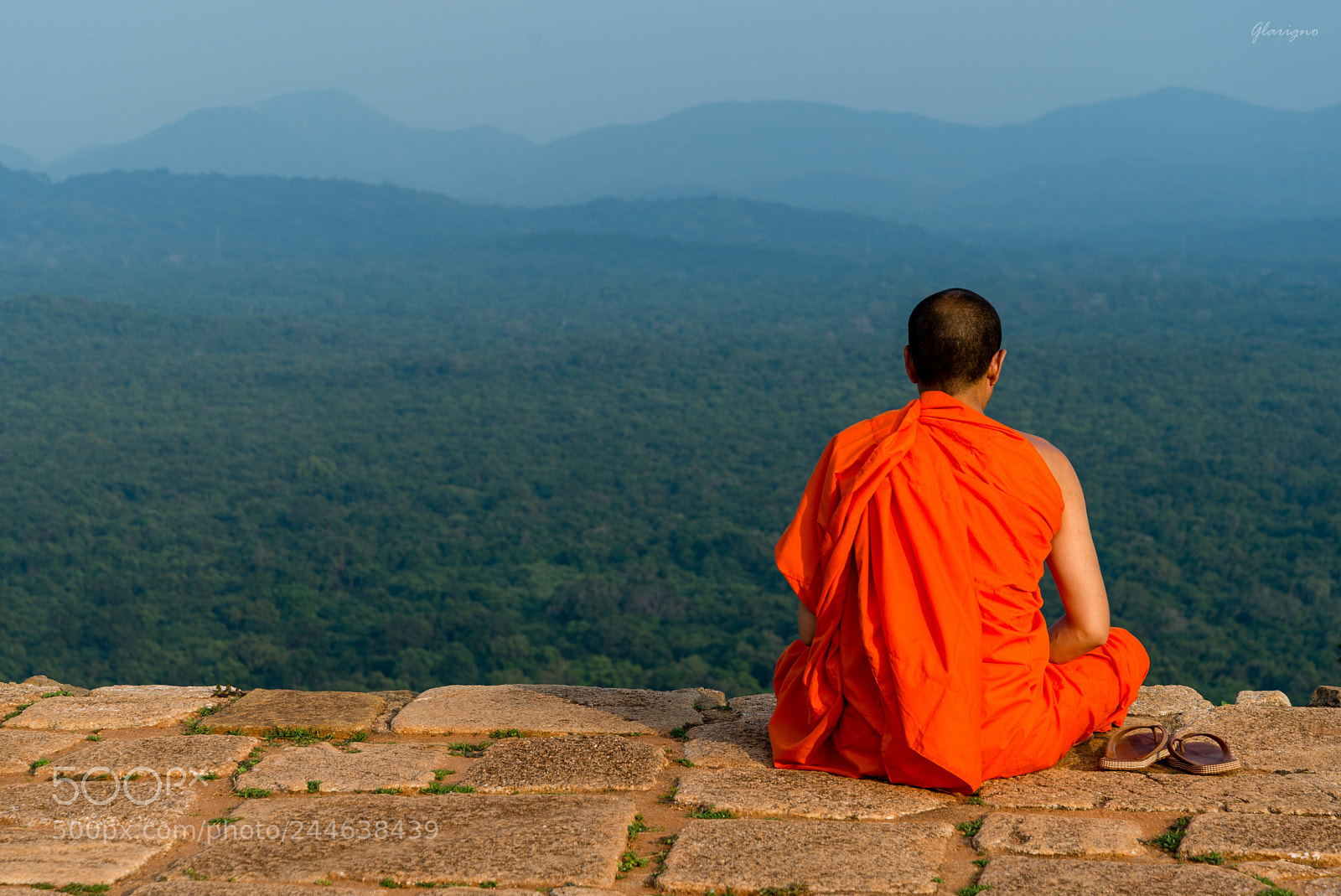 Nikon D610 sample photo. Sri lanka x photography