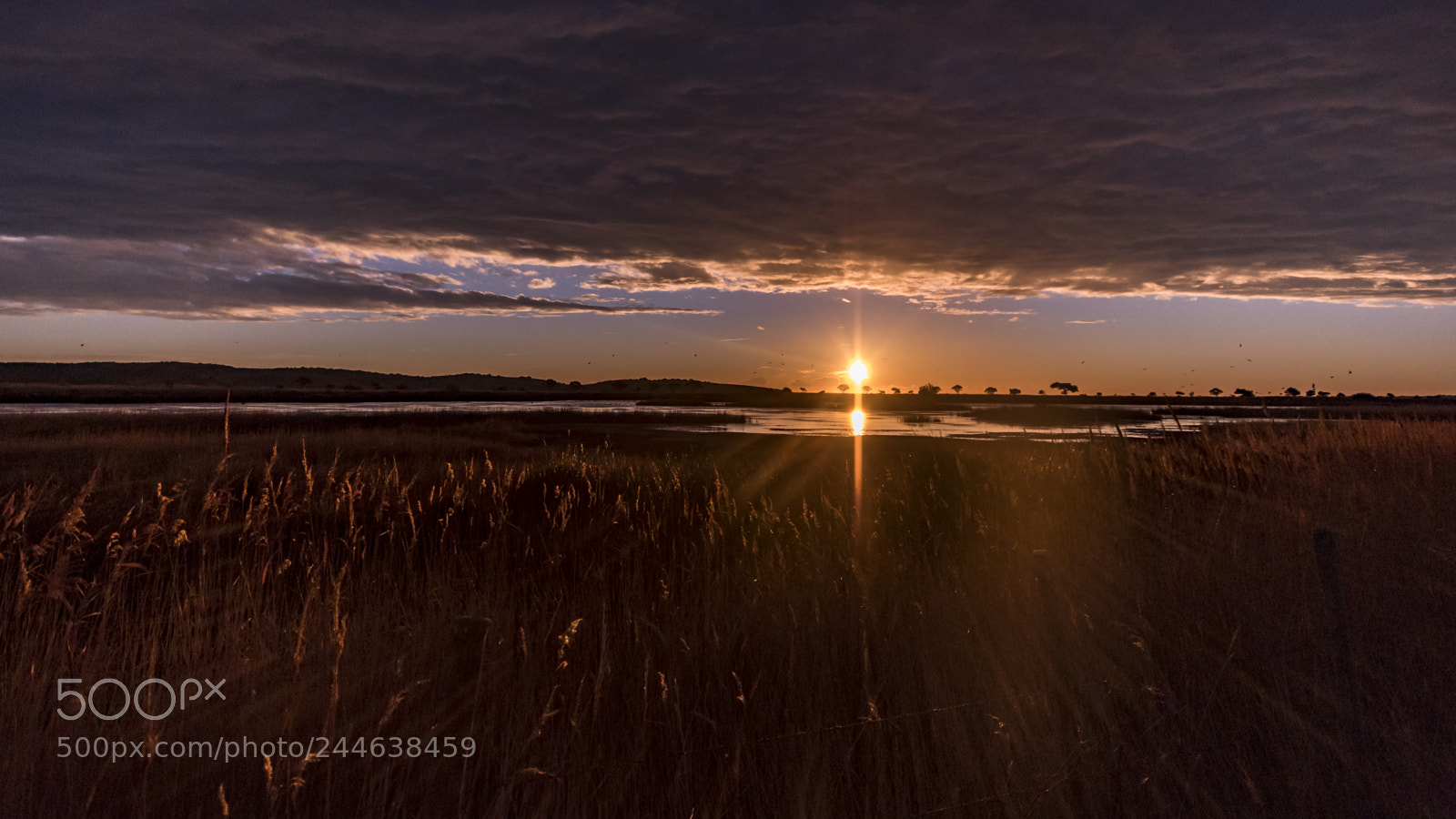Nikon D810 sample photo. The sun coming photography