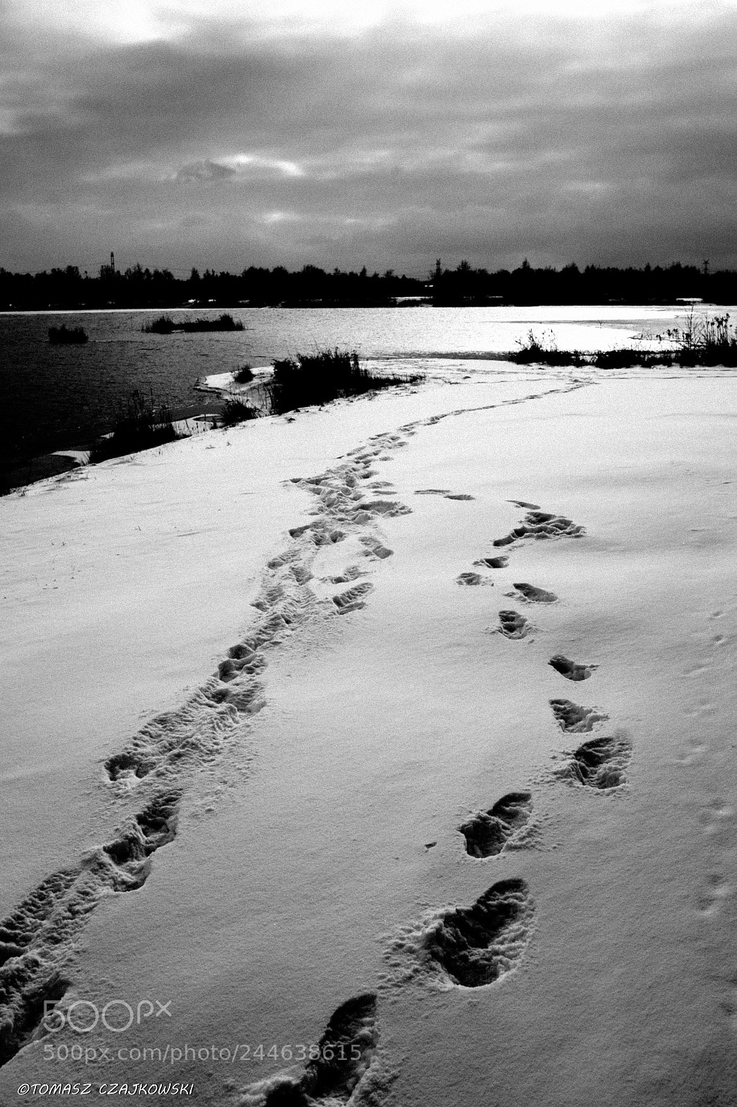 Fujifilm X100T sample photo. The lake photography