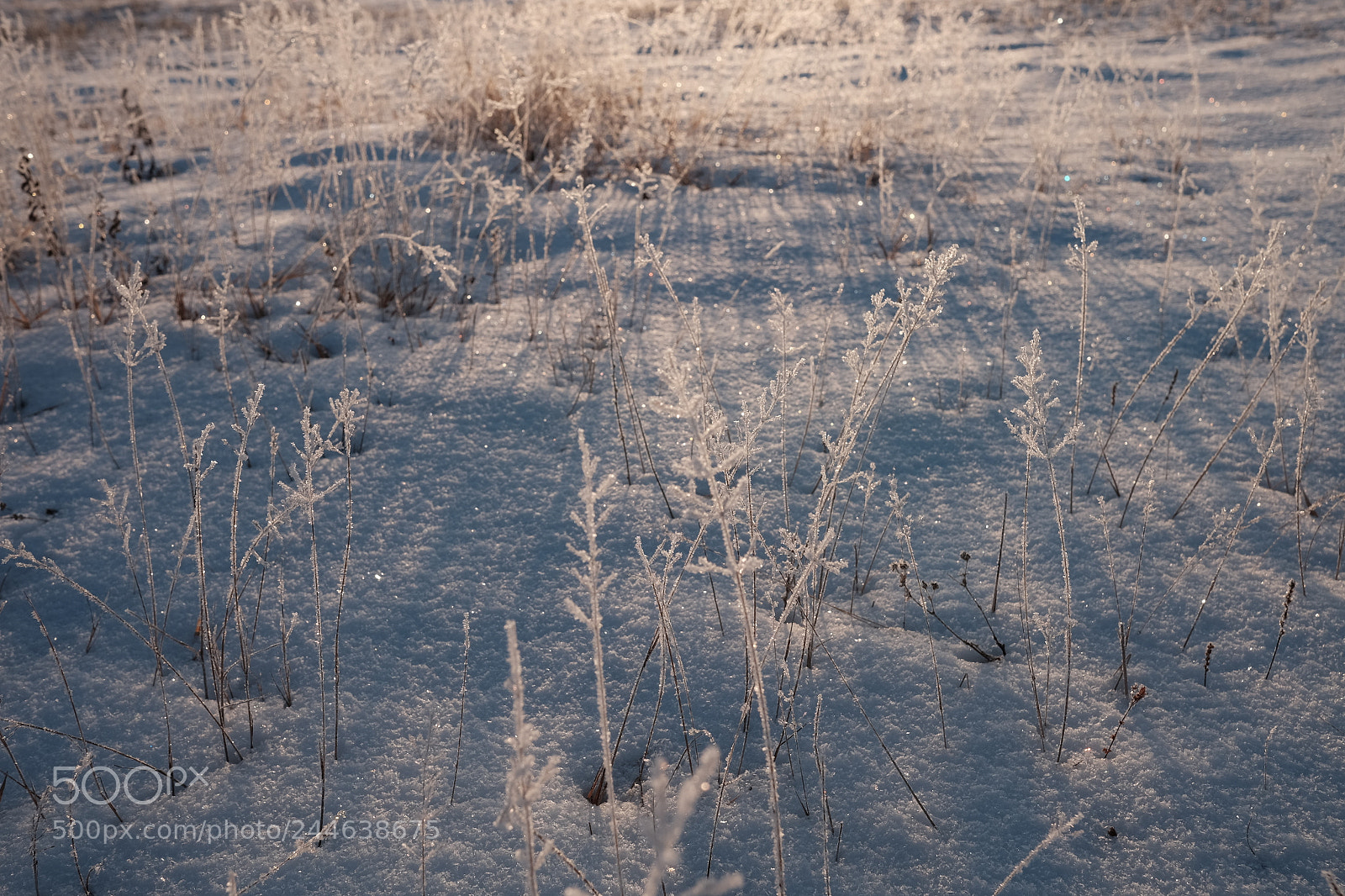 Fujifilm X-T1 sample photo. Glitter photography