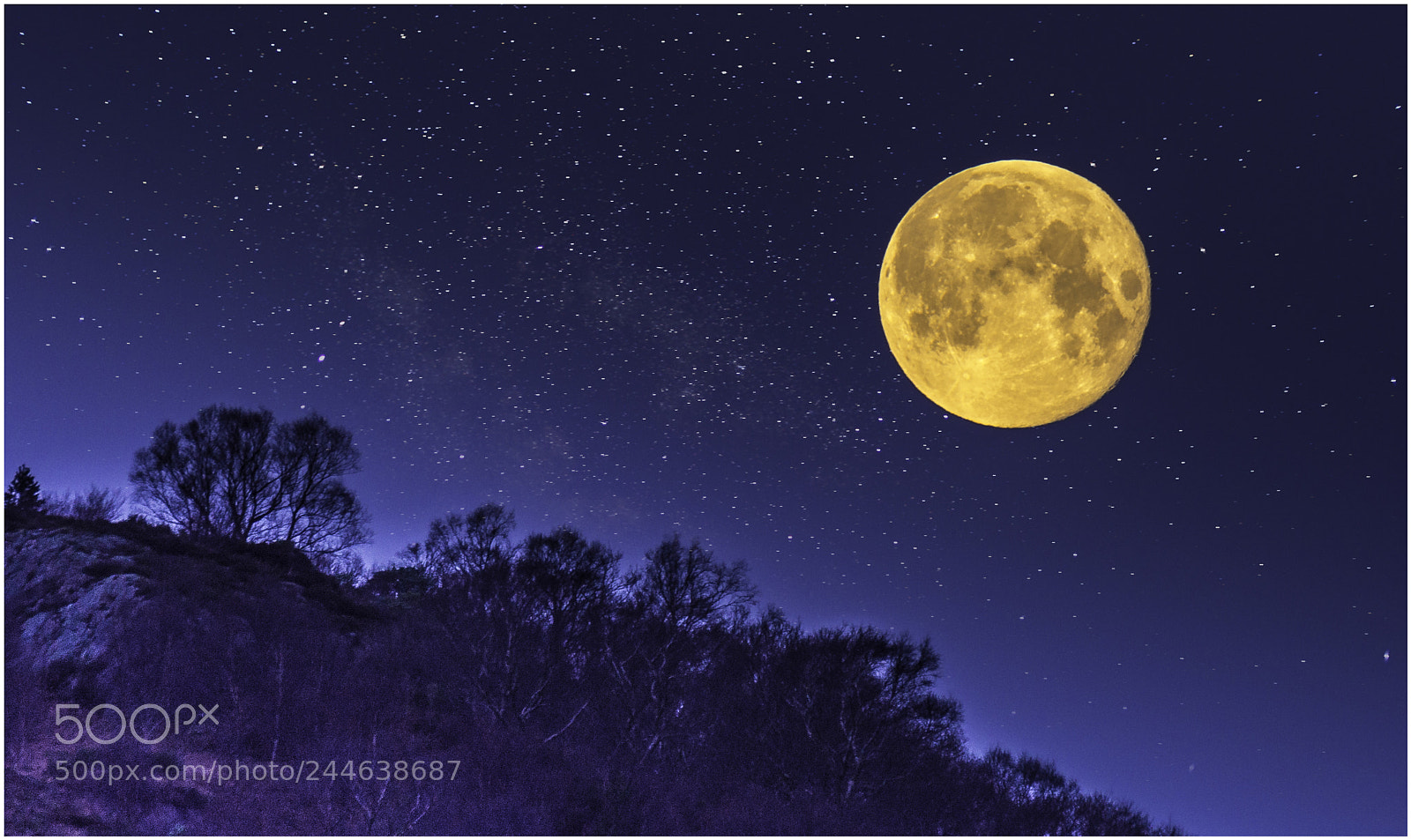 Nikon D7200 sample photo. My super blue moon photography
