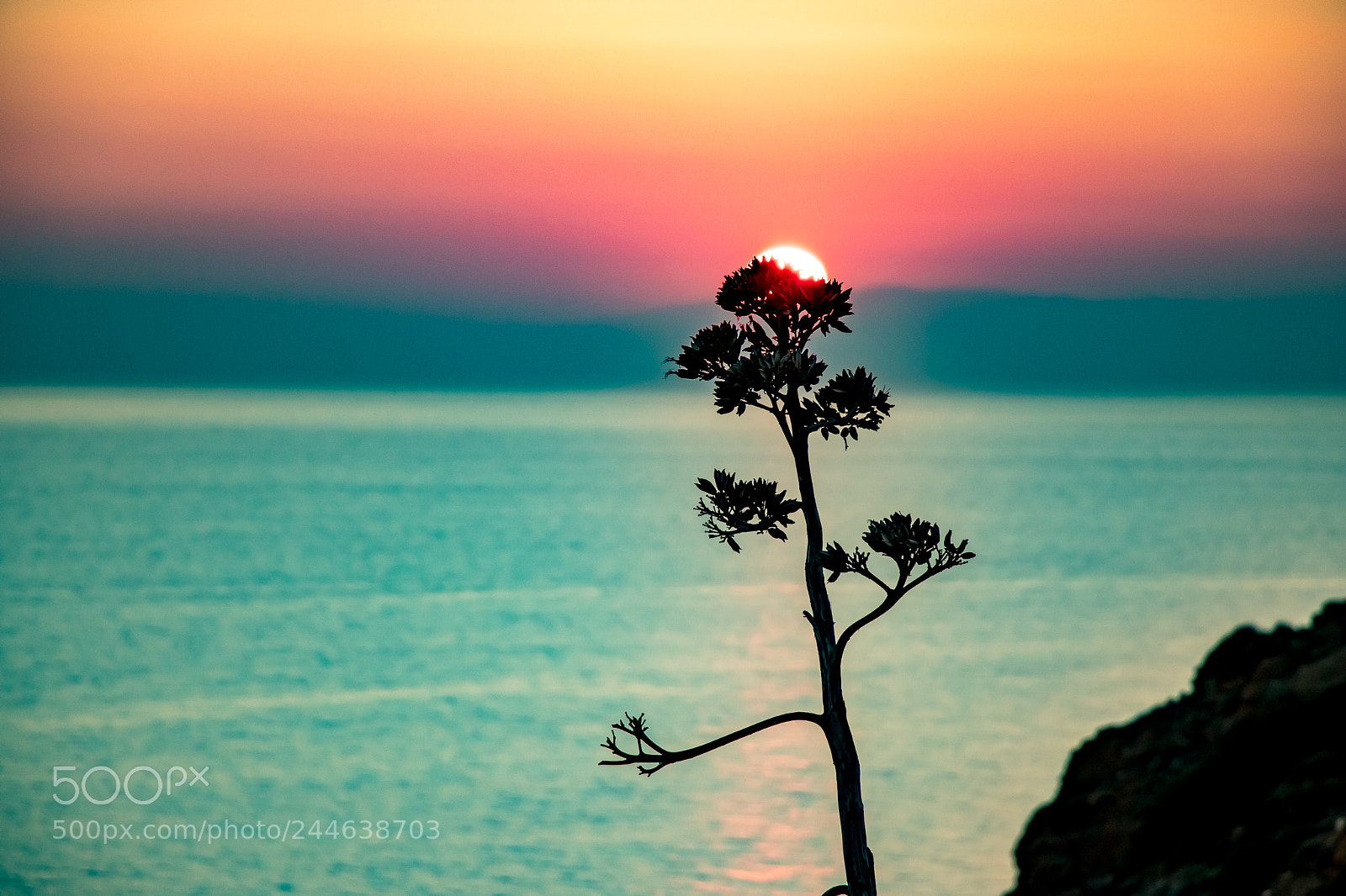 Canon EOS 77D (EOS 9000D / EOS 770D) sample photo. Sunset at poseidon's temple photography
