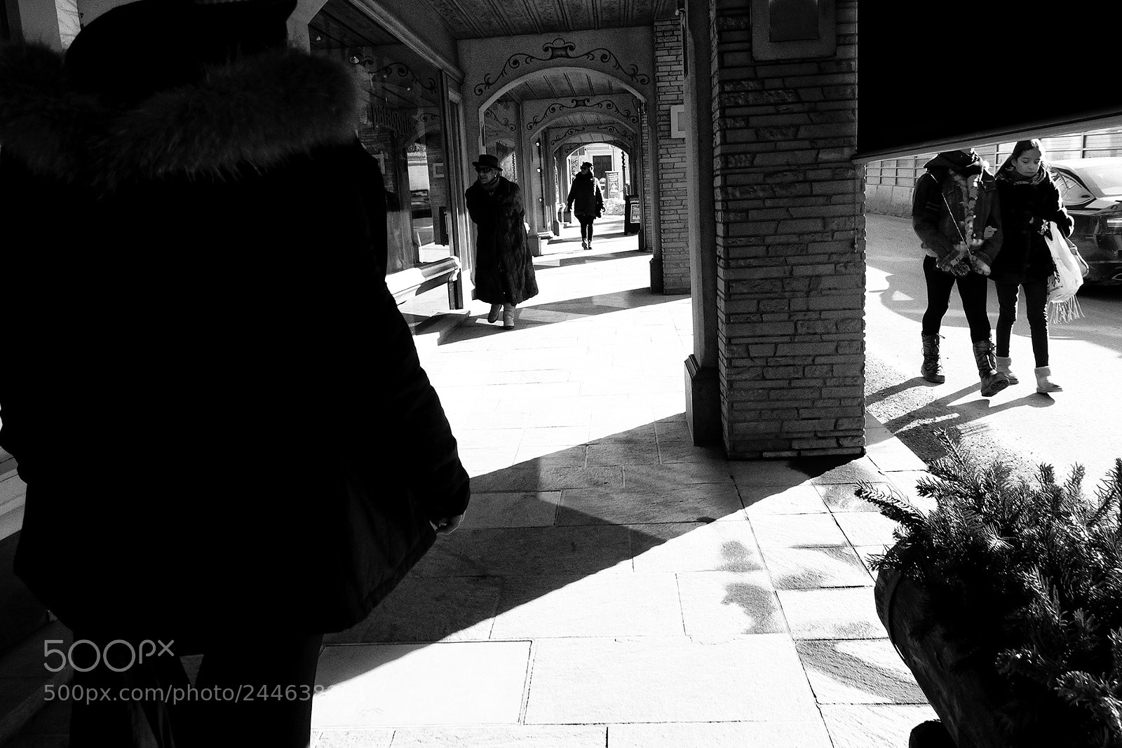Fujifilm X-T10 sample photo. 8.jpg photography