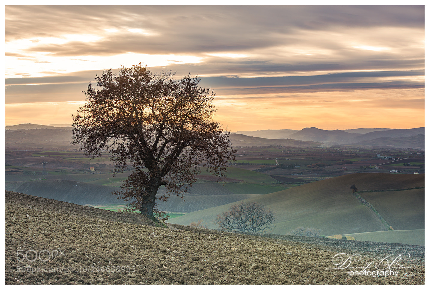 Nikon D800 sample photo. Valley's guardian photography