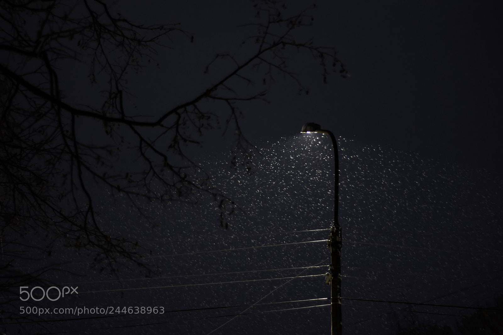 Nikon D7100 sample photo. Night, snowfall, street lamp photography