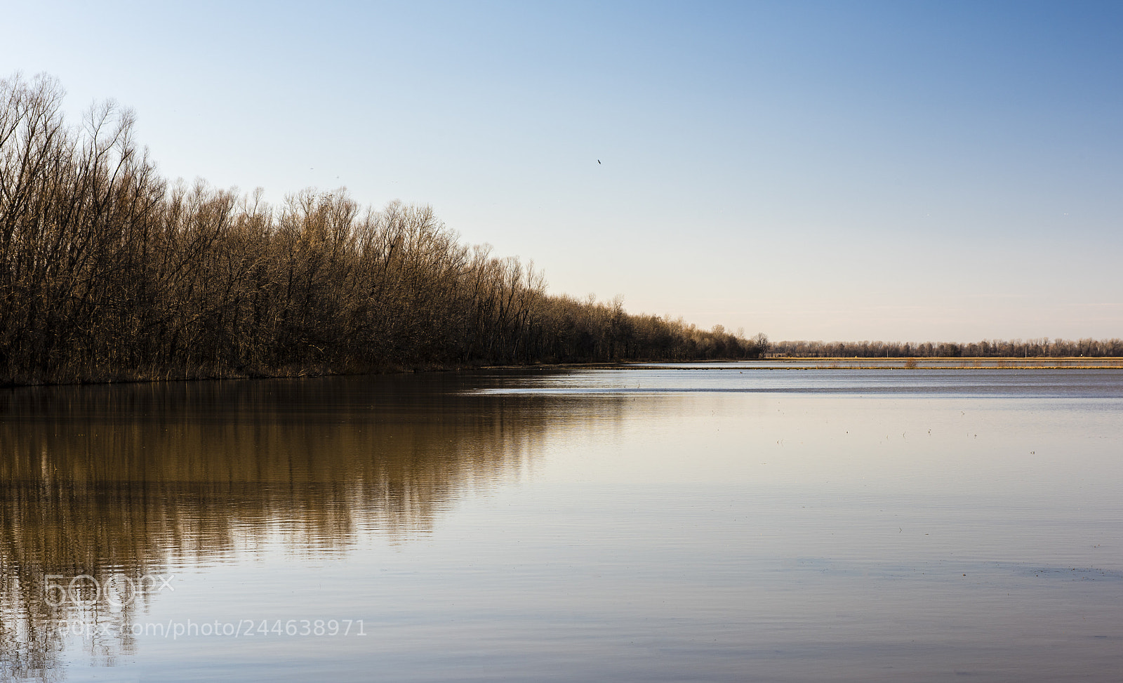 Nikon D810 sample photo. Realfootlake photography