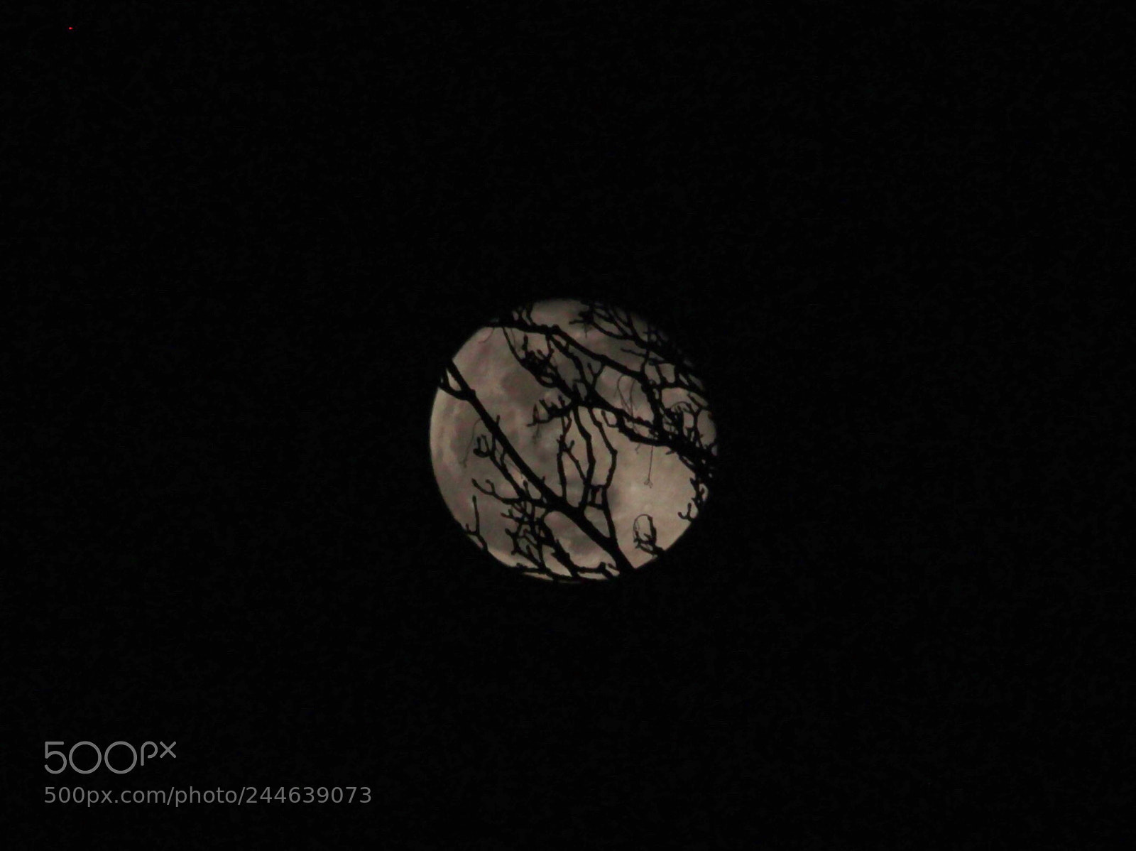 Canon EOS 650D (EOS Rebel T4i / EOS Kiss X6i) sample photo. Moon as seen from photography
